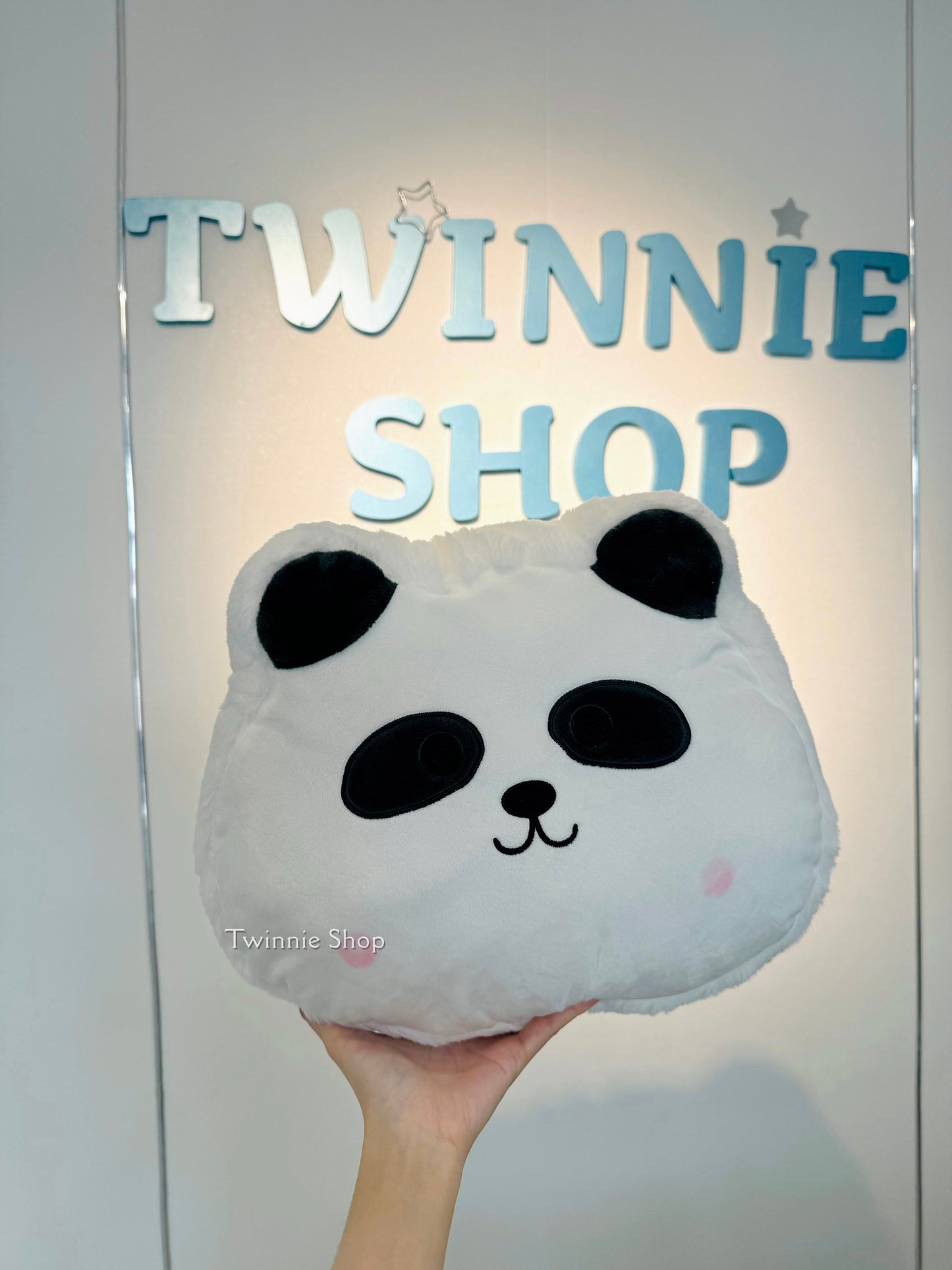 PL | Teddy pillow