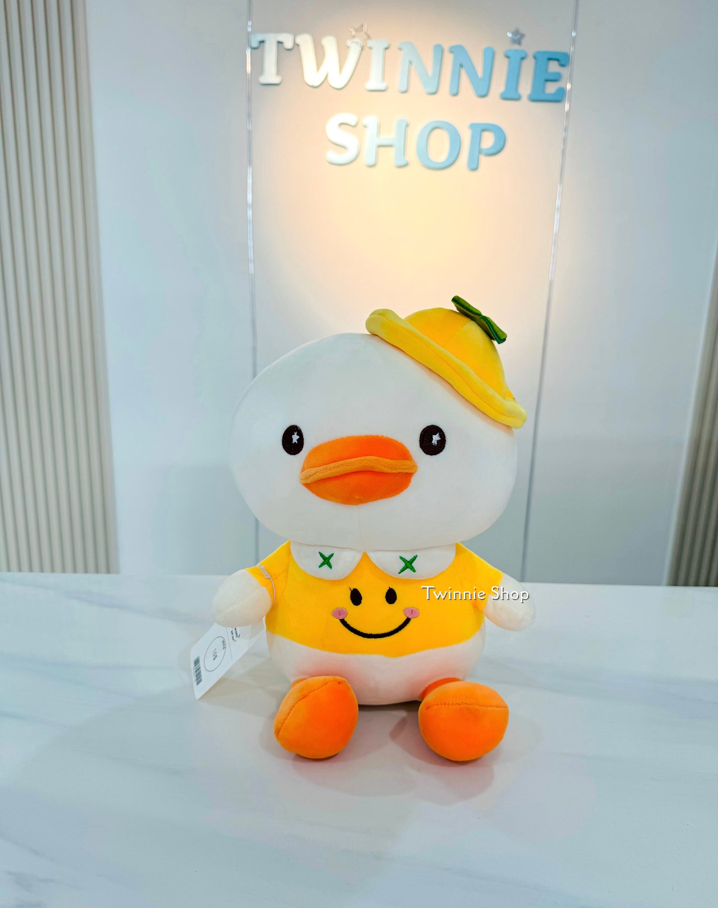BT | Teddy ducky