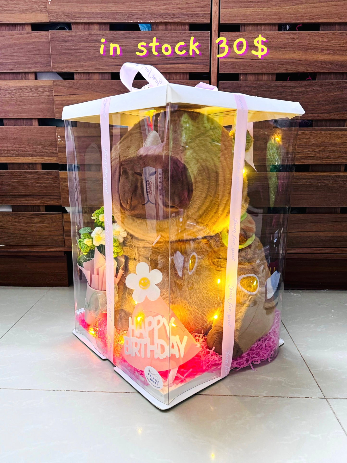 BB | Capybara birthday box big size