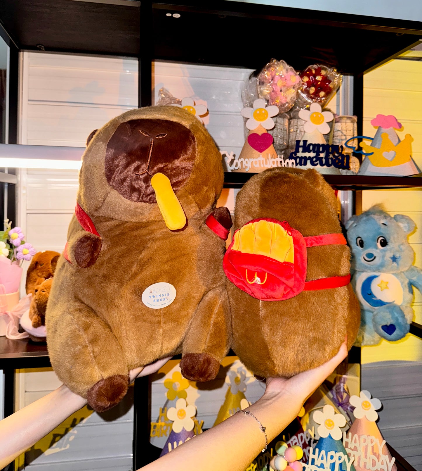 BT | Capybara turtle