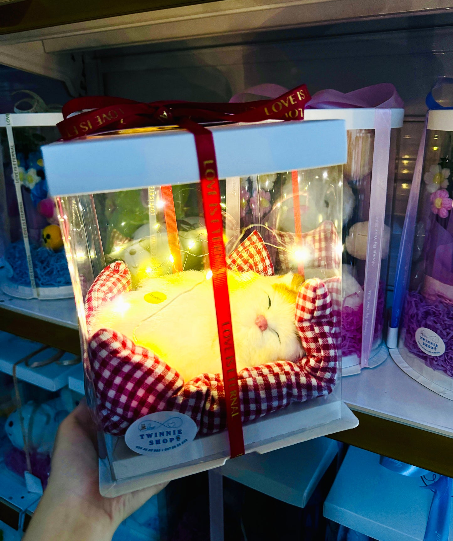 SRB | Sleeping cat gift box