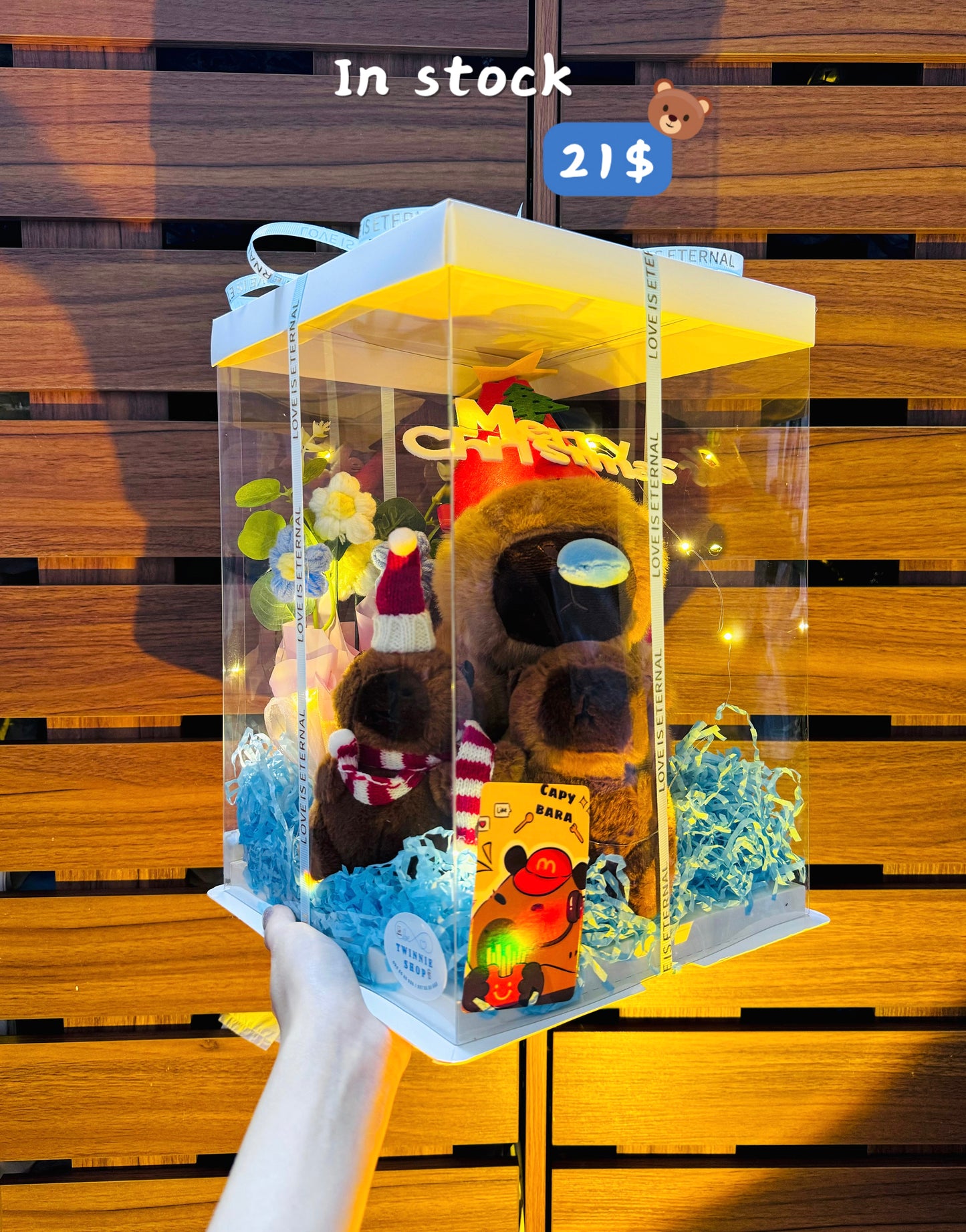 Xmas | Capybara gift set