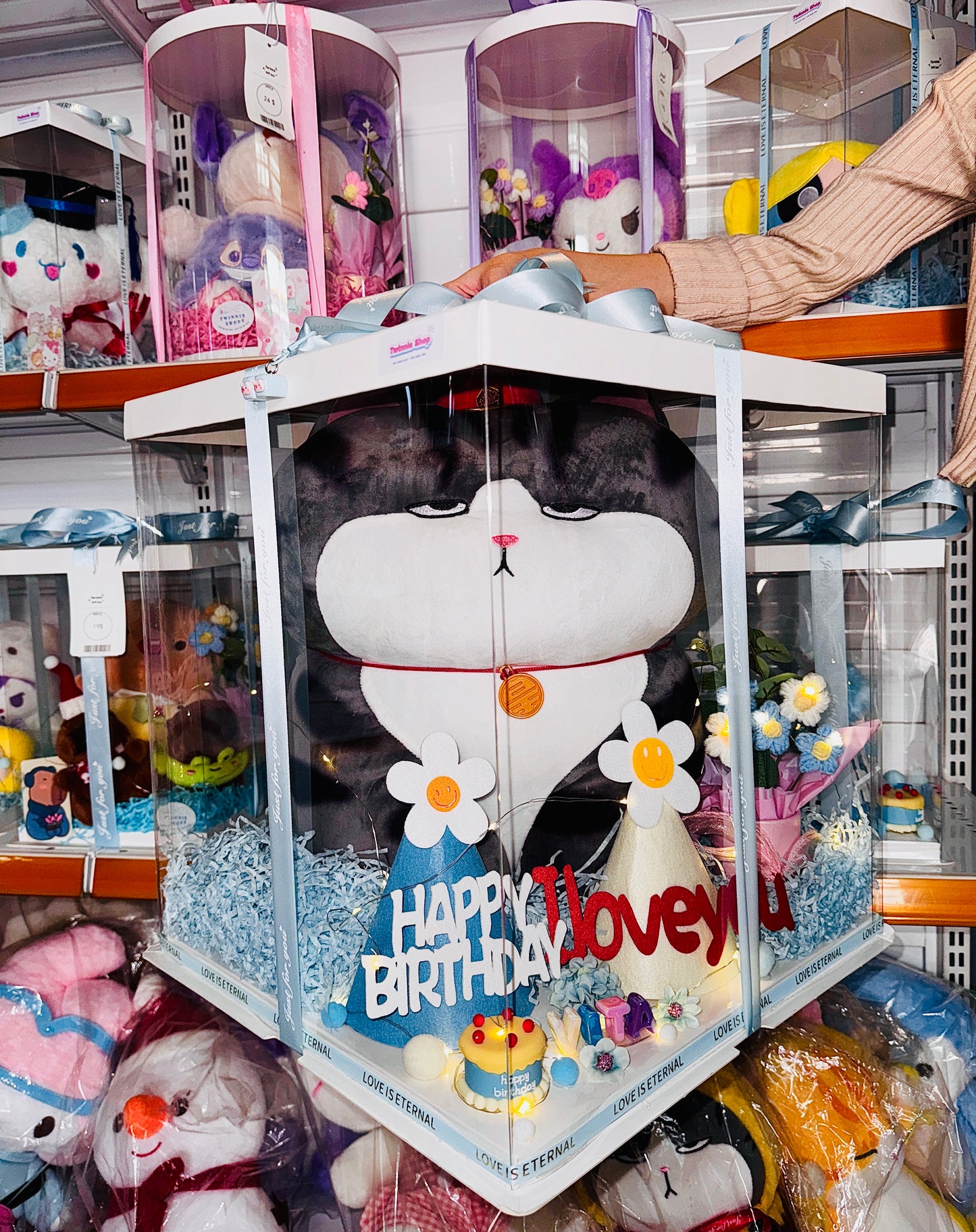 BB | Moody cat event set