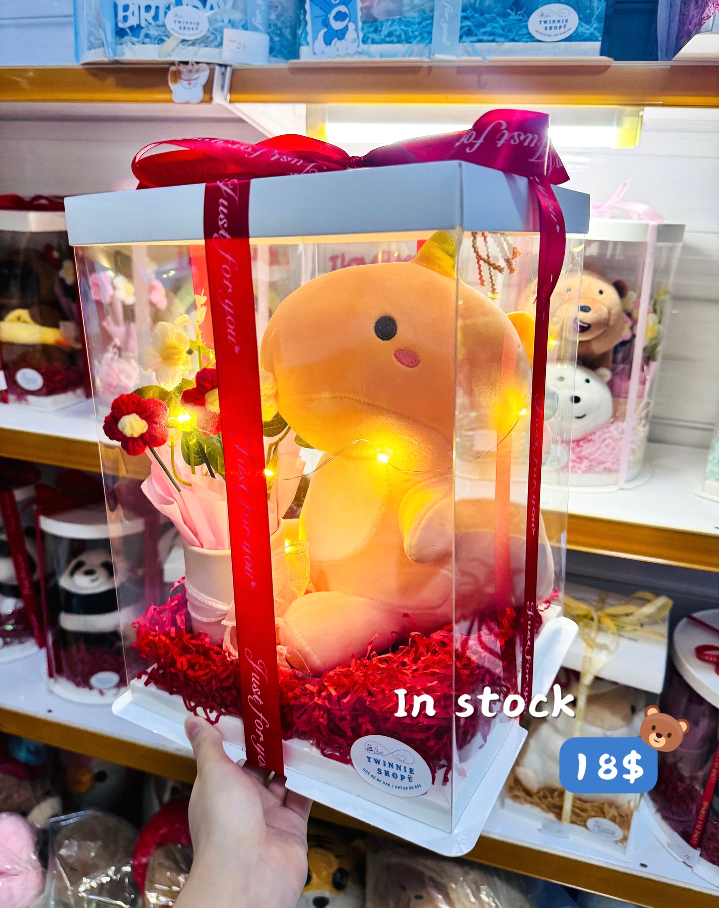 BB | Dinosaur gift set