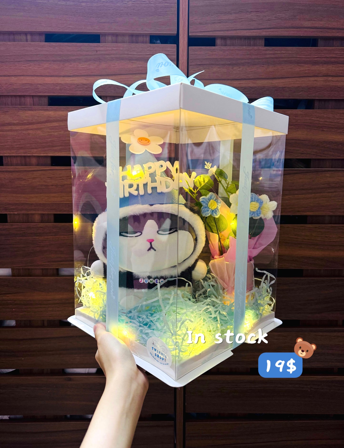 BD18 | cat birthday full set skin cat