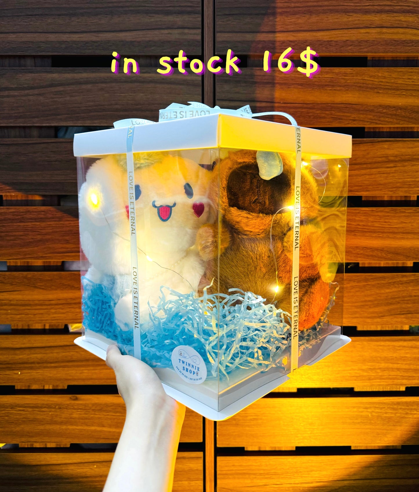 CPB | Capybara couple set