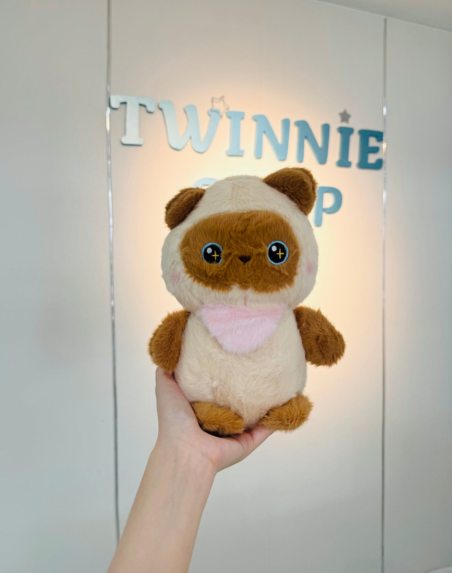SD | Brown cat