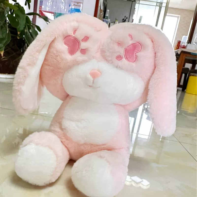 BT | Cute teddy