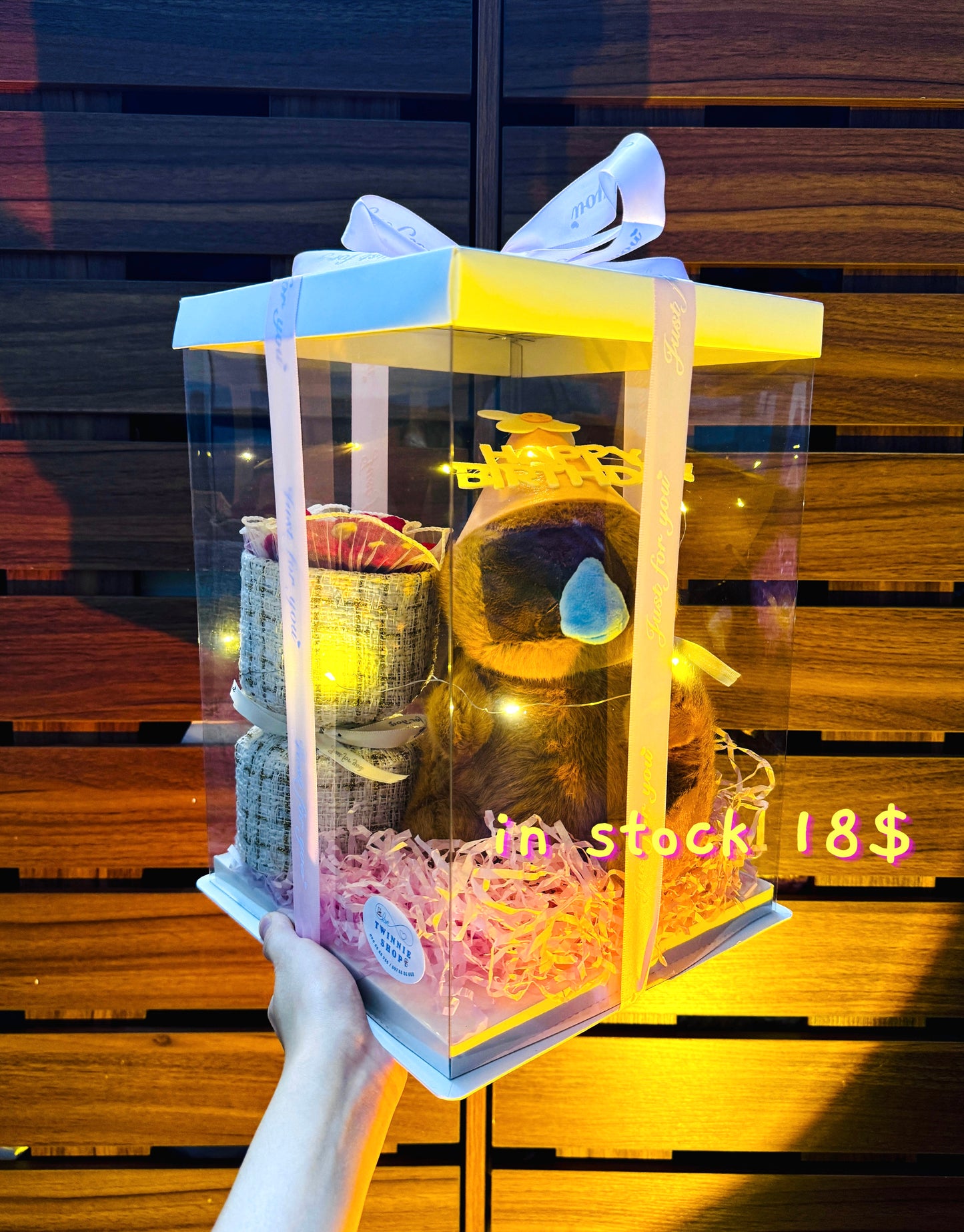 BD16 | Capybara birthday set