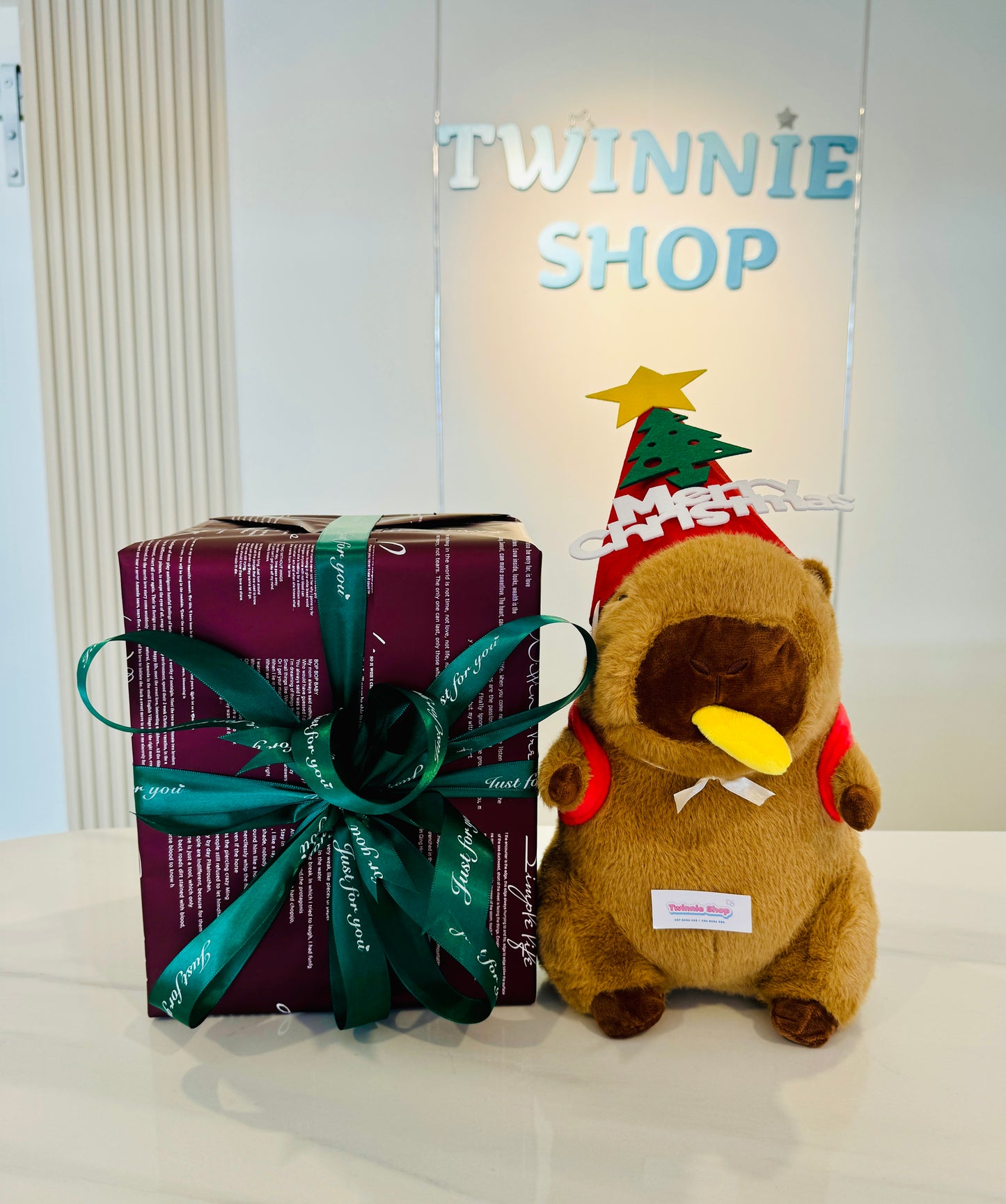Xmas | Capybara gift wrapping