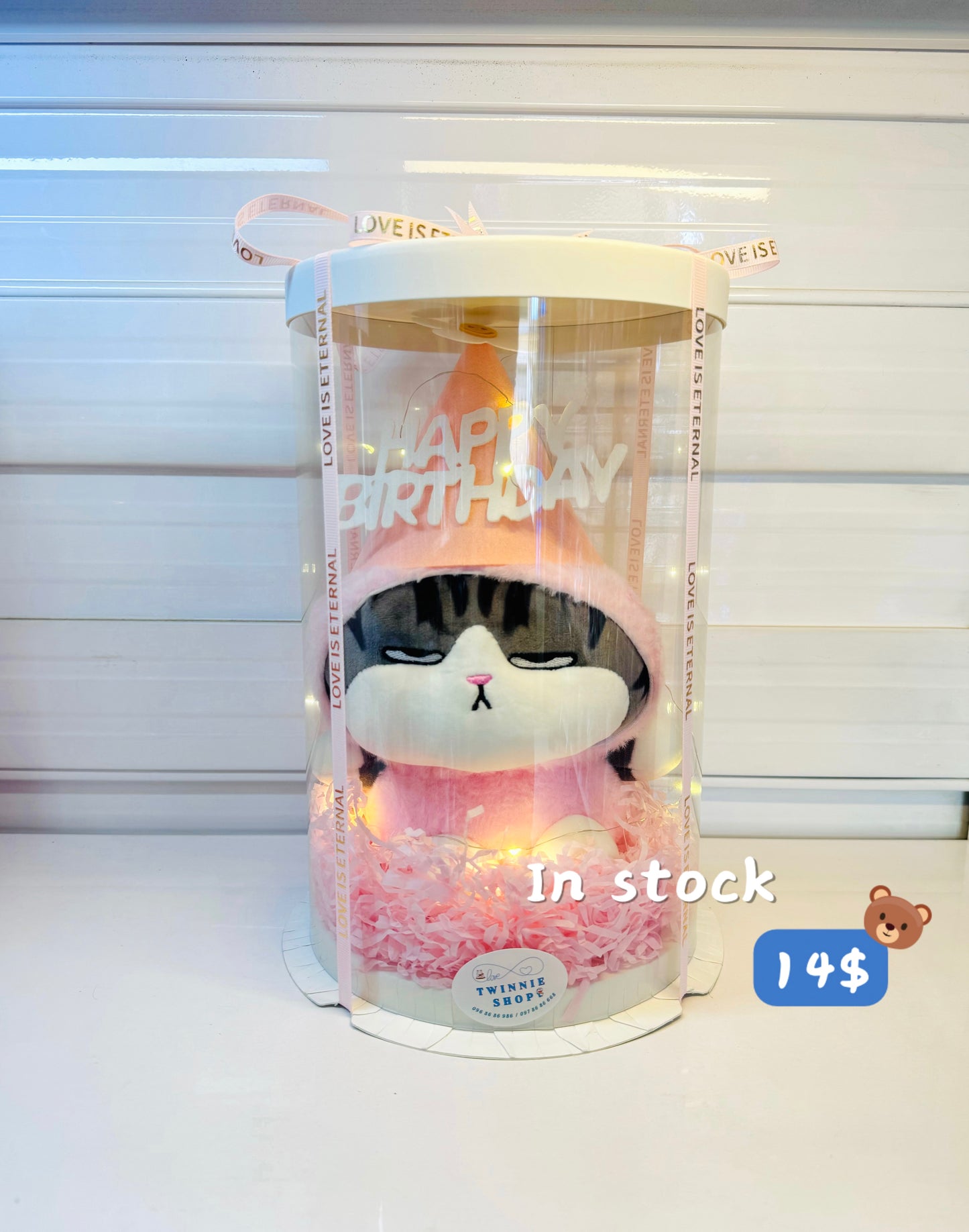 SRBBD | cat birthday box skin cat