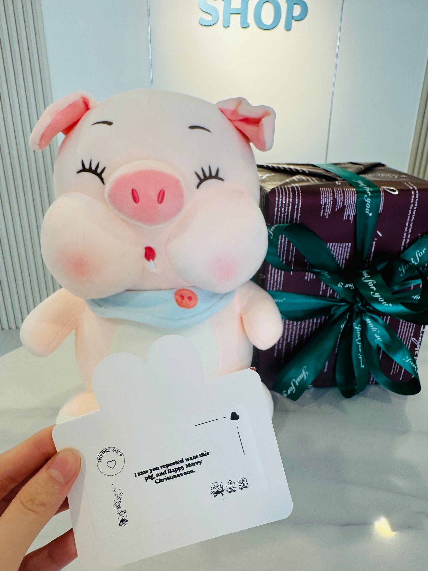 BT | Baby pig
