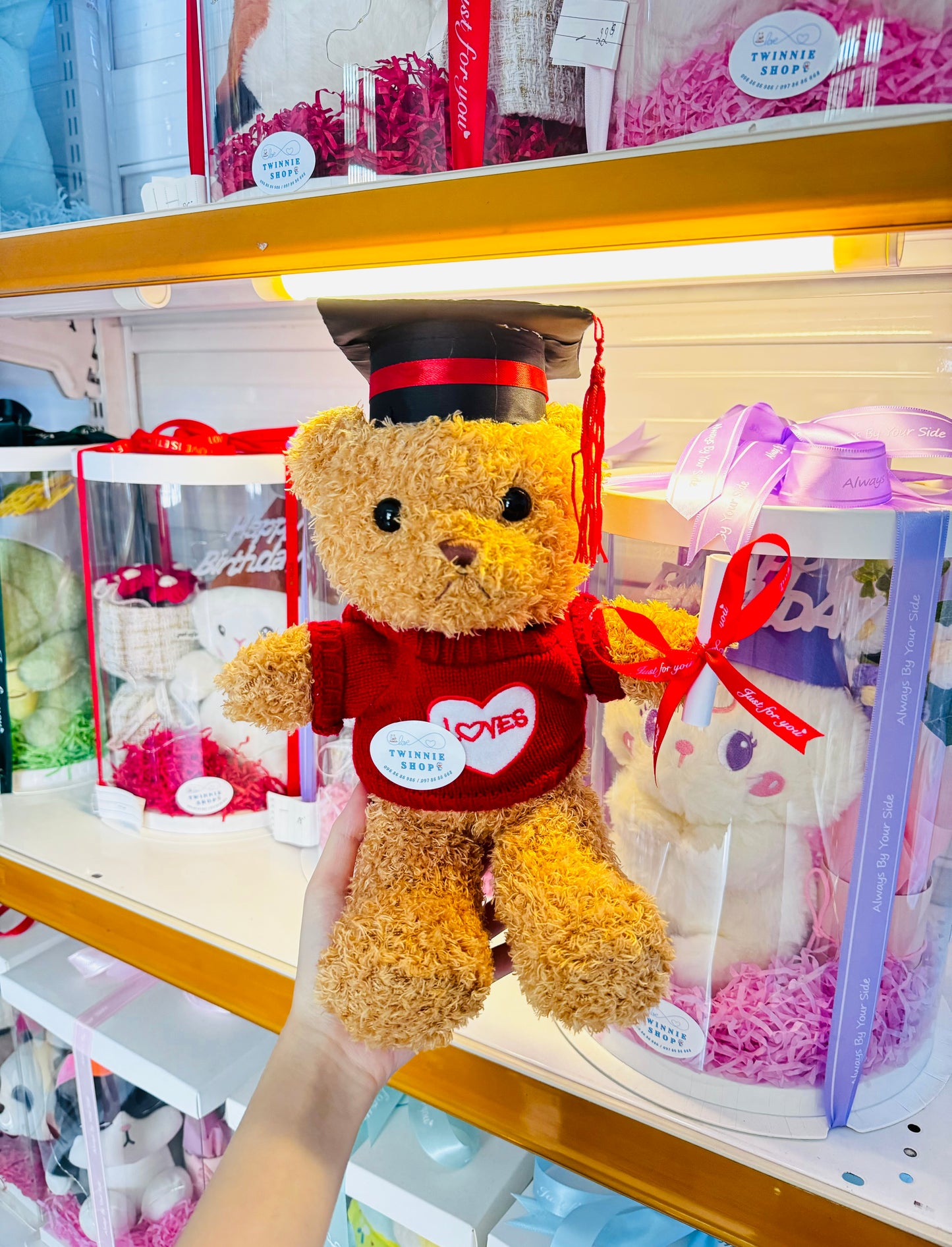 GRASD | Graduate Teddy