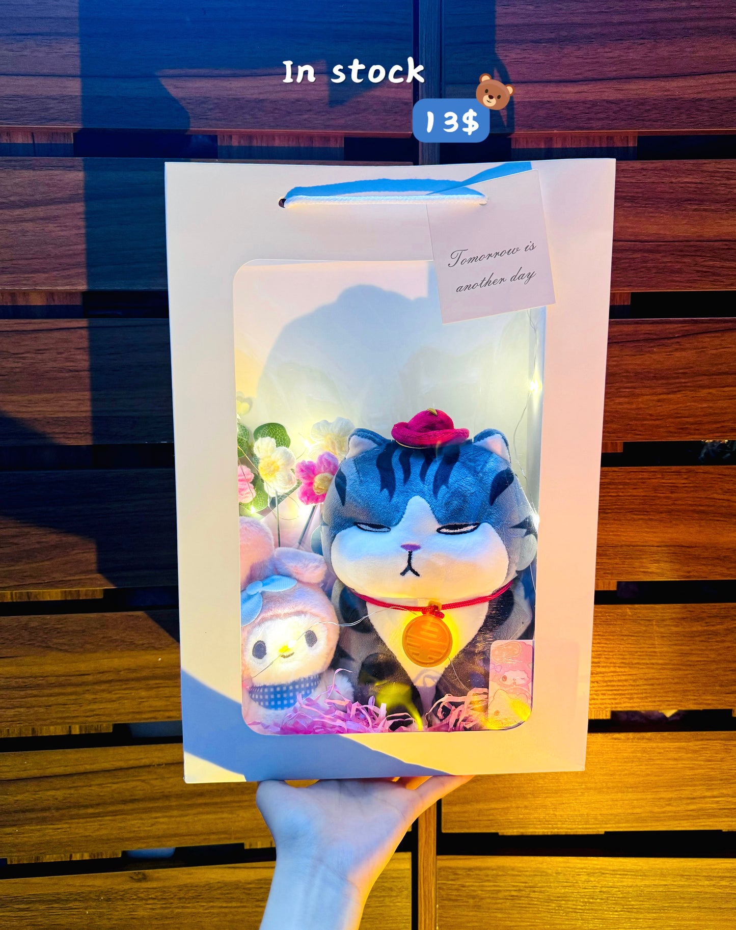 SRBM | Moody cat mix gift bag