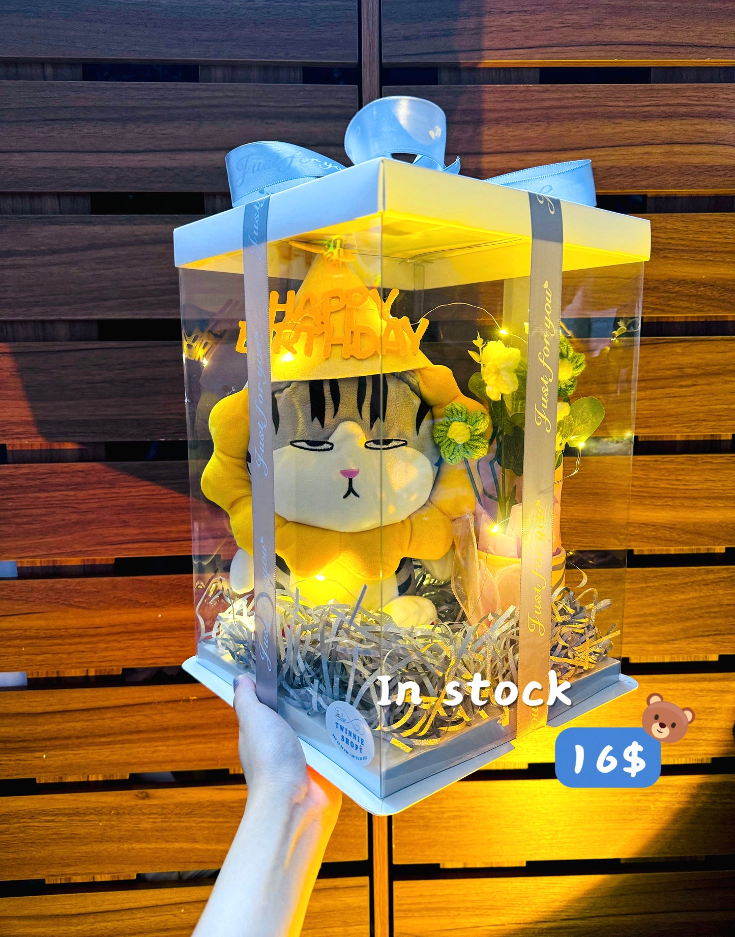 BD16 | Cat birthday box