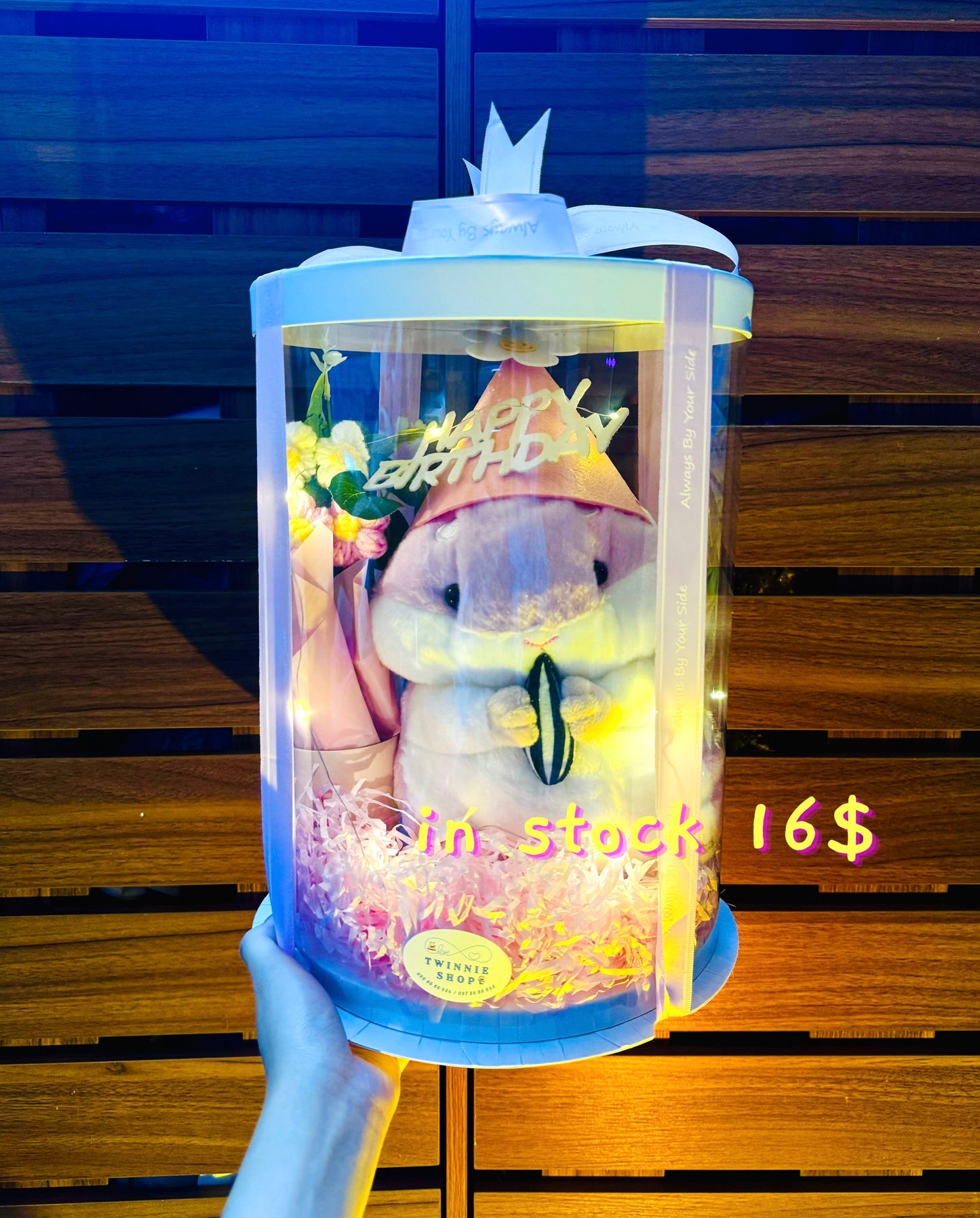 BD16 | Hamster birthday full set