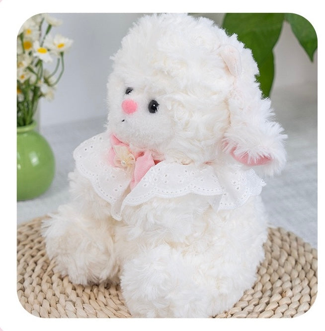 SD | Sheep teddy