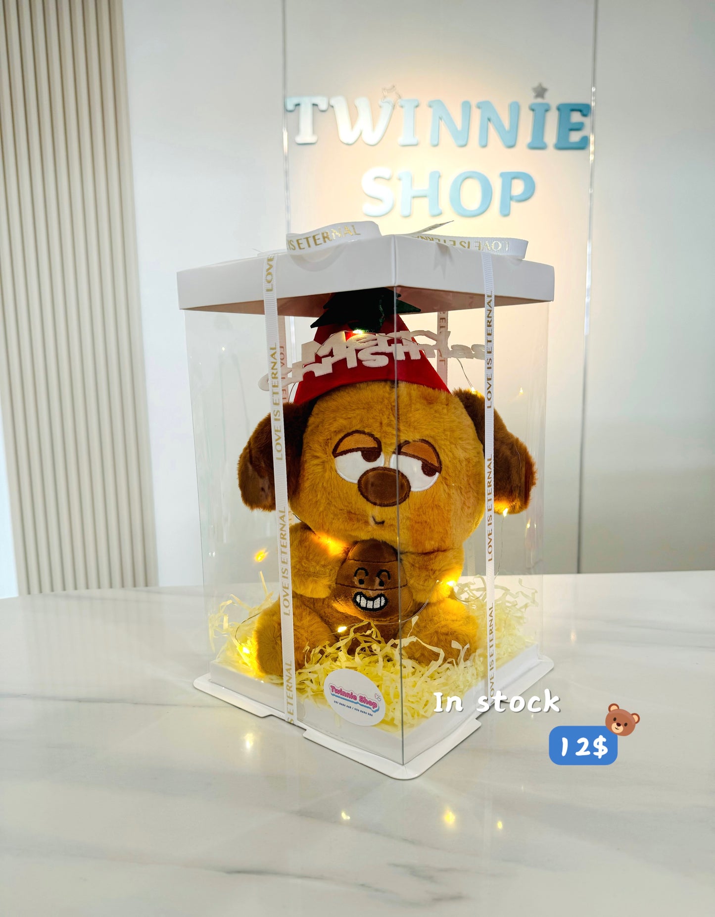 Xmas | Brown dog Christmas set