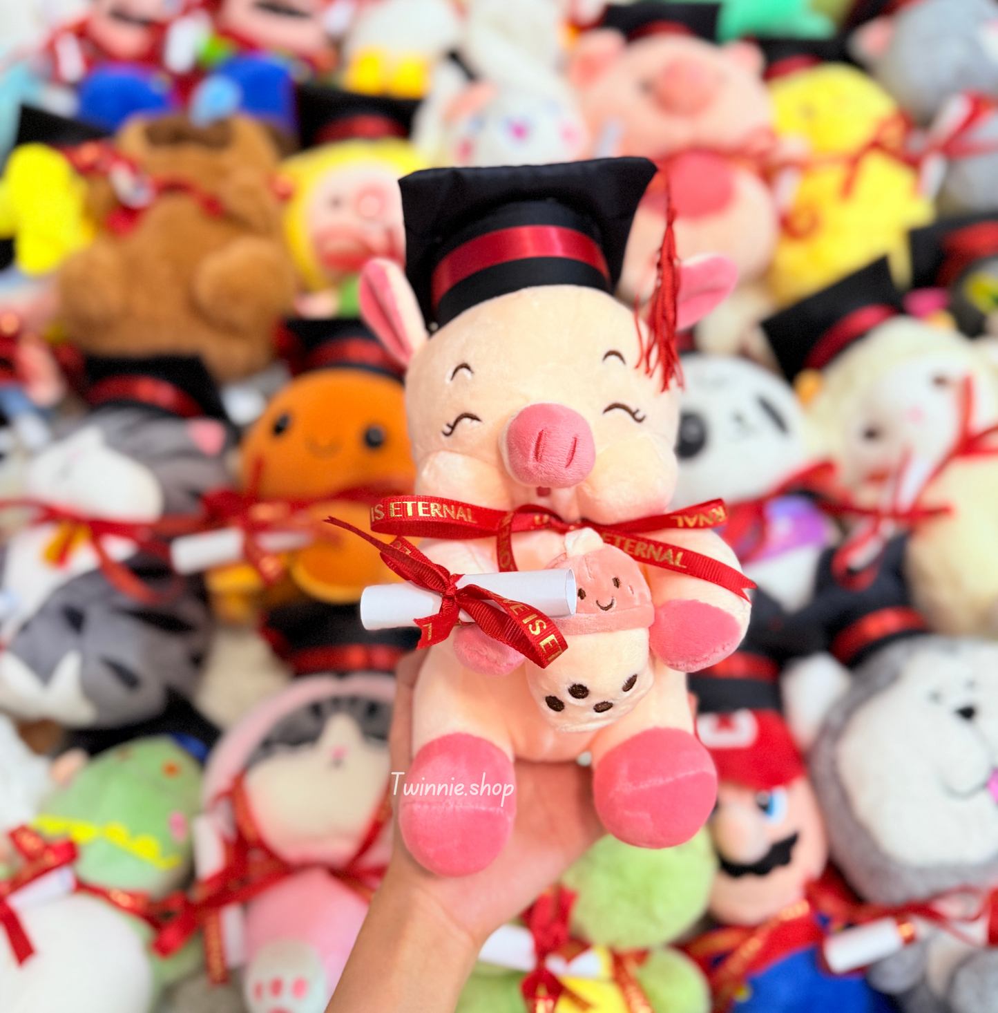 GRASD | Graduate Teddy