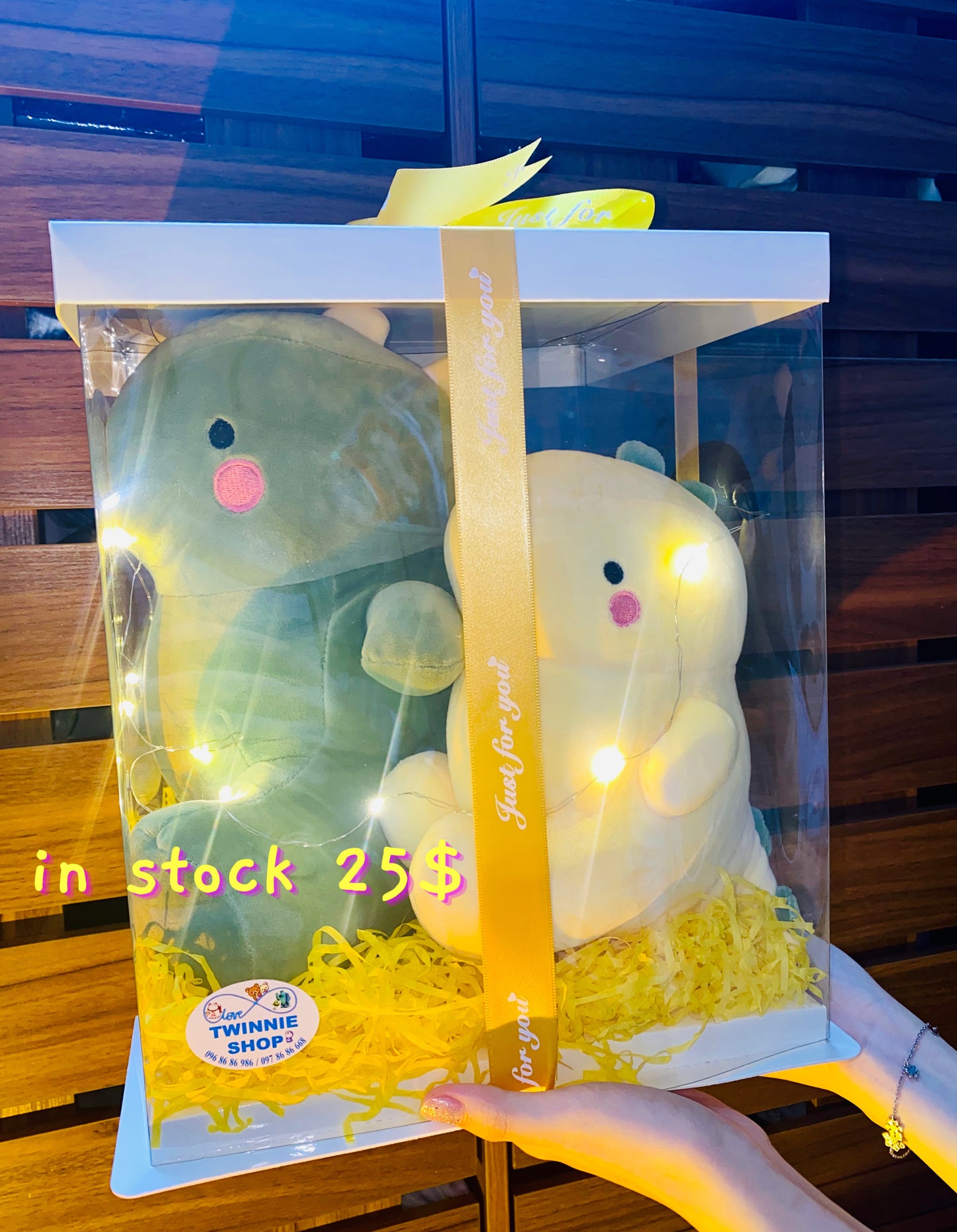 BB | Dinosaur big gift set
