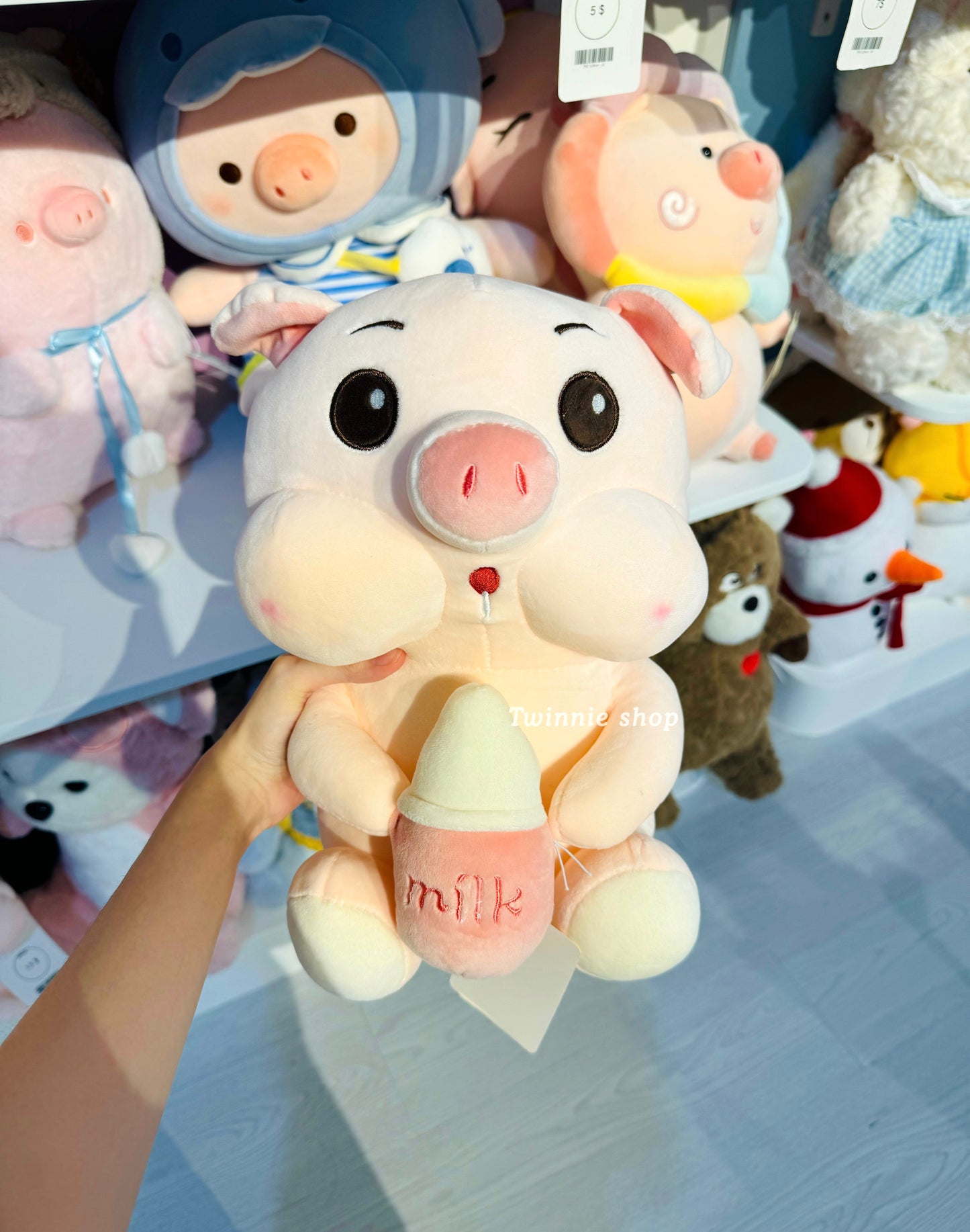 BT | Milk pig