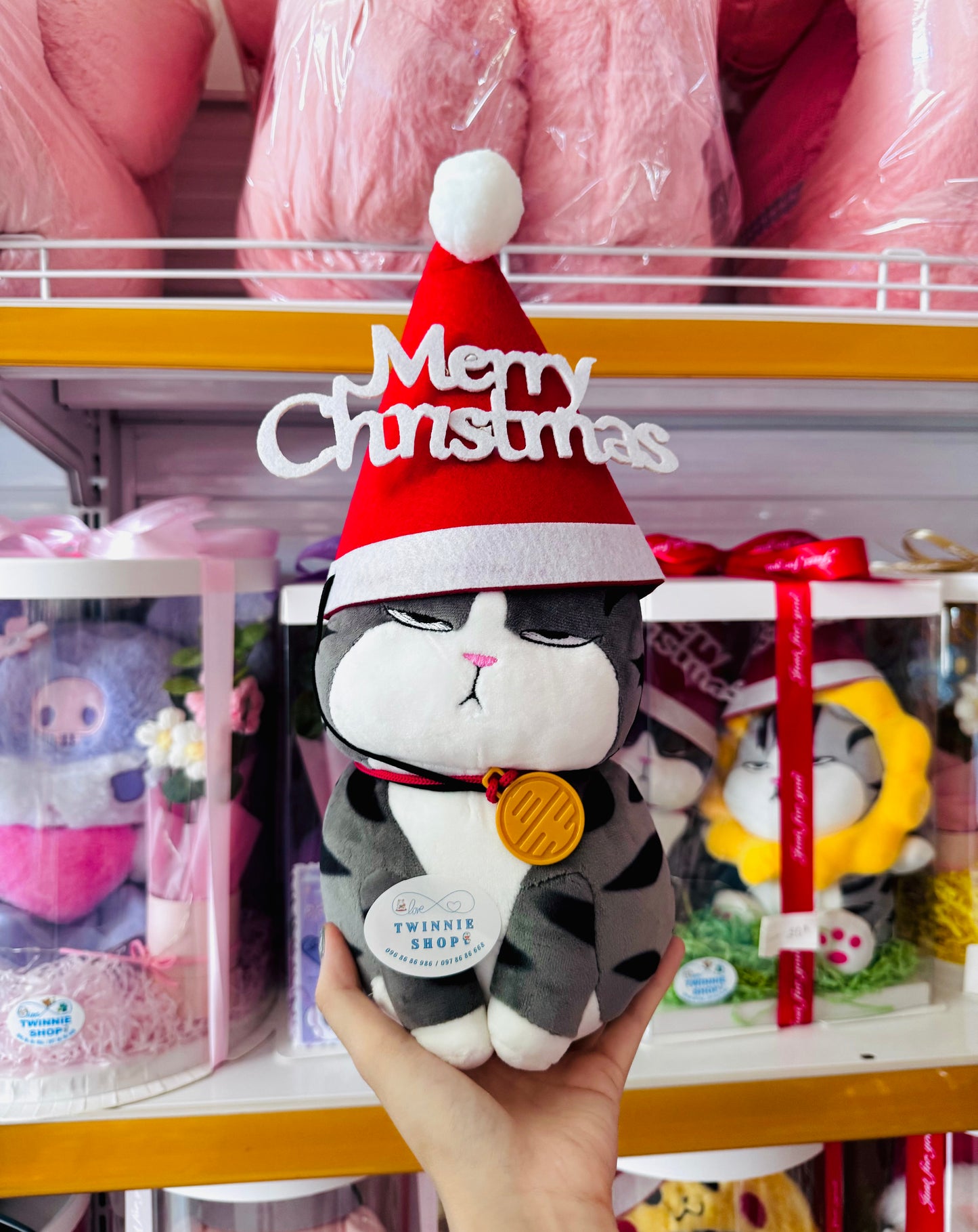 Xmas| cat