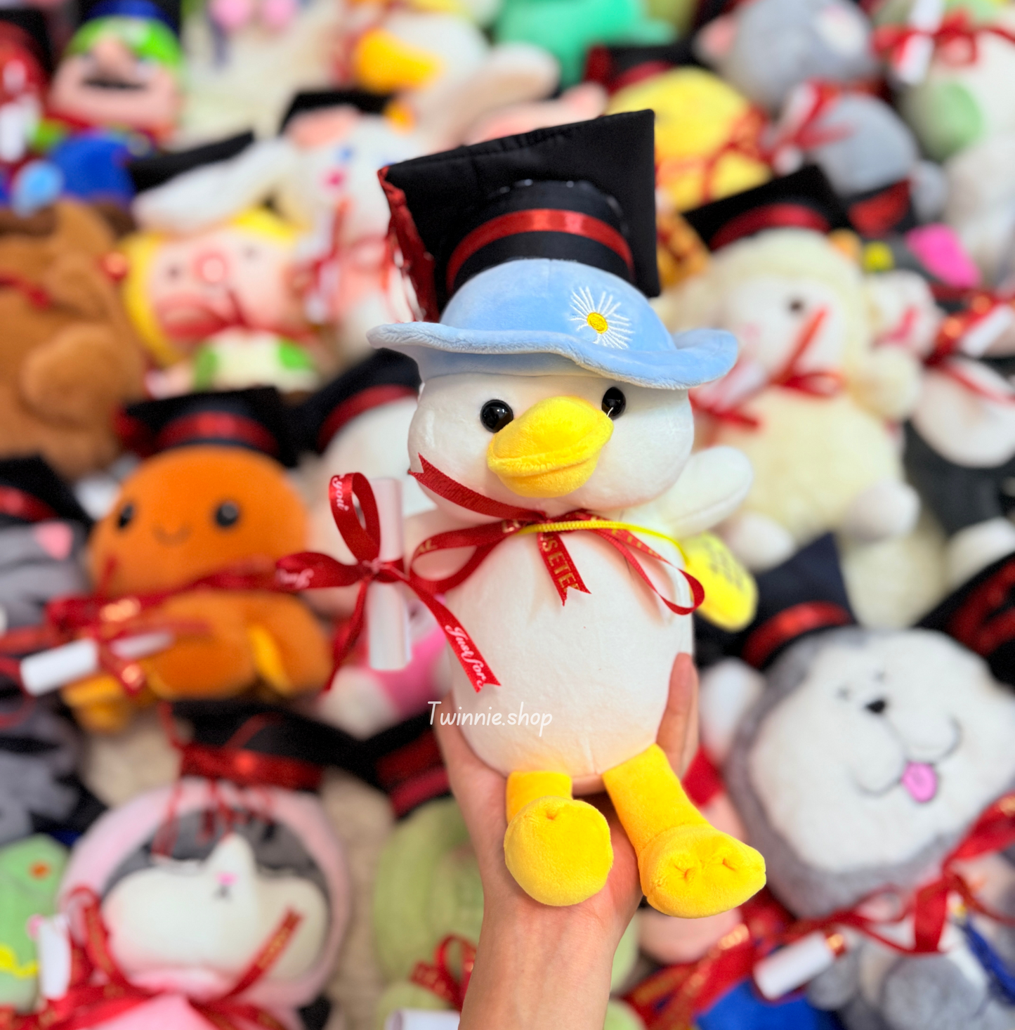 GRASD | Graduate Teddy