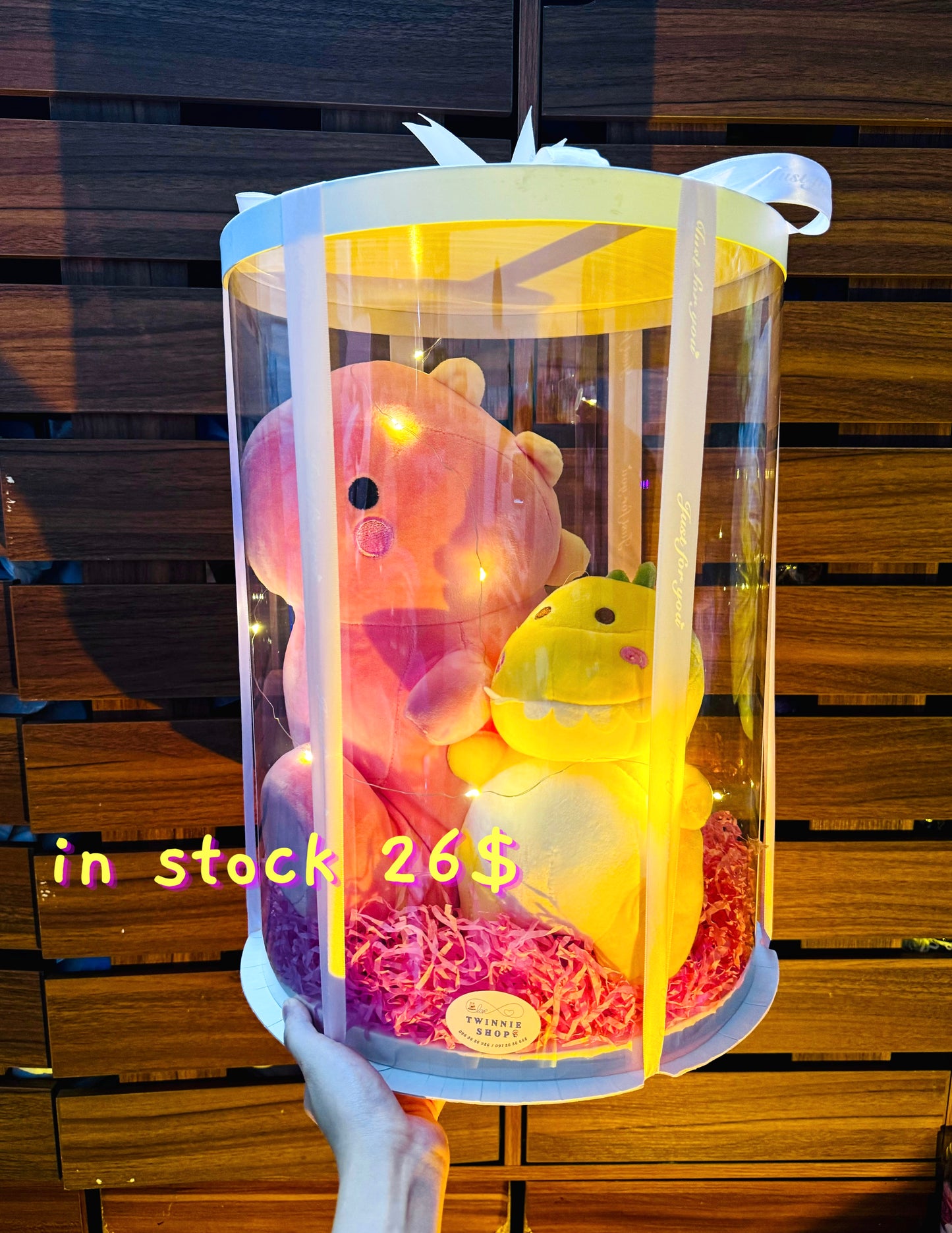 BB | Dinosaur big gift set