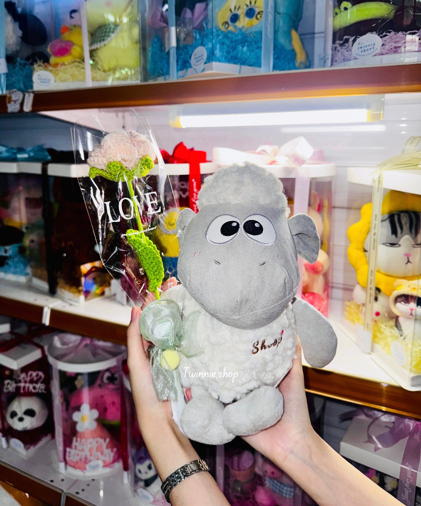 SD | Suan The Sheep
