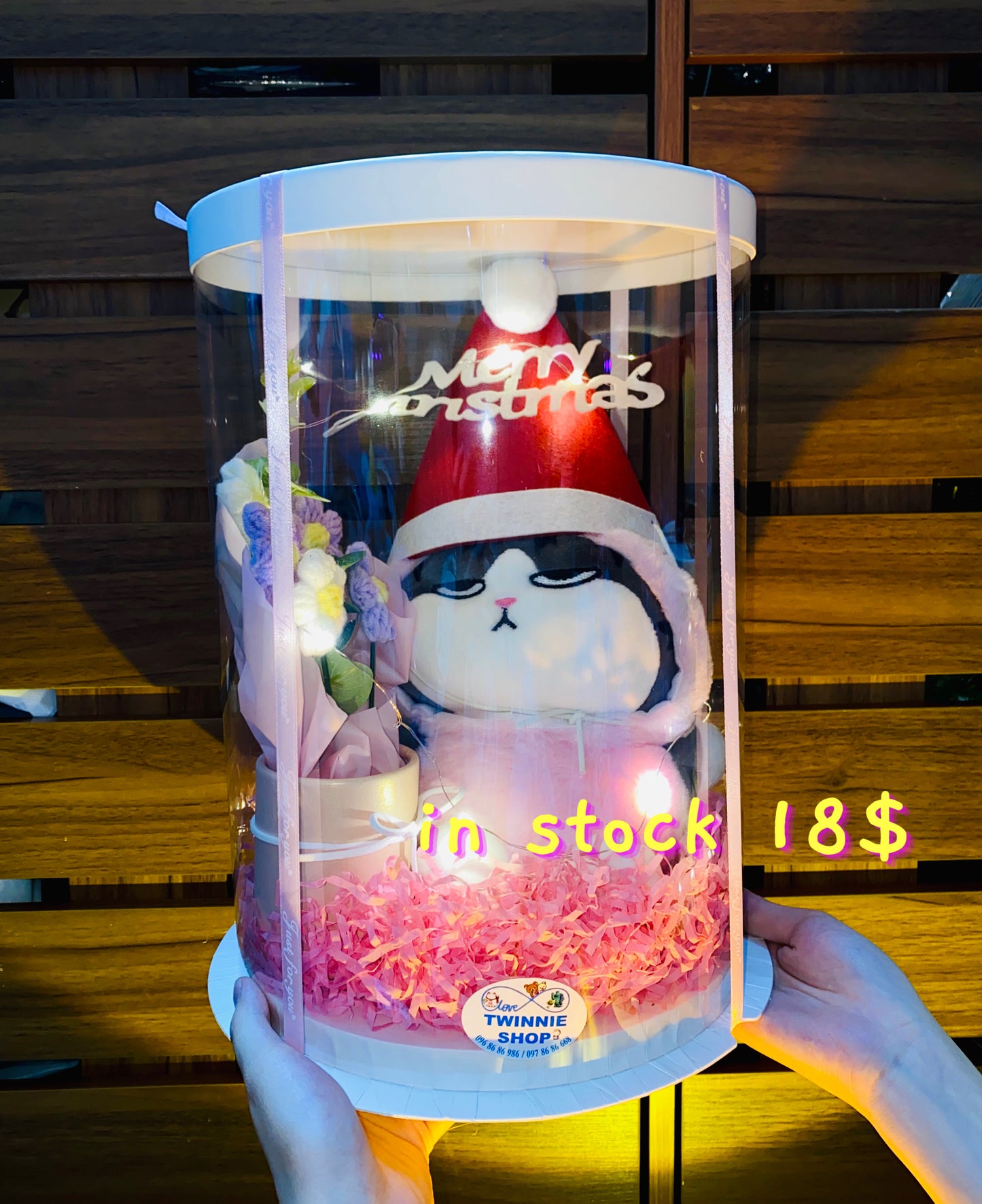 Xmas | Colorful cat gift box