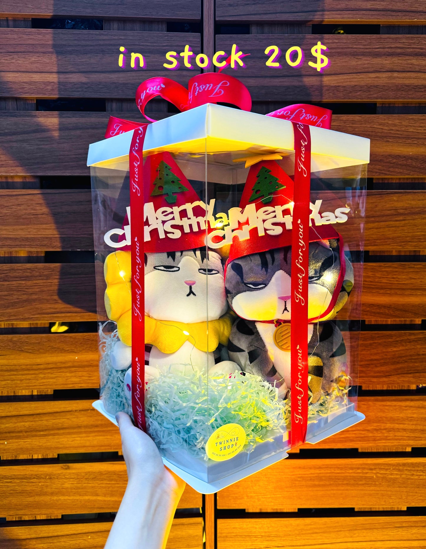 Xmas | couple cat box