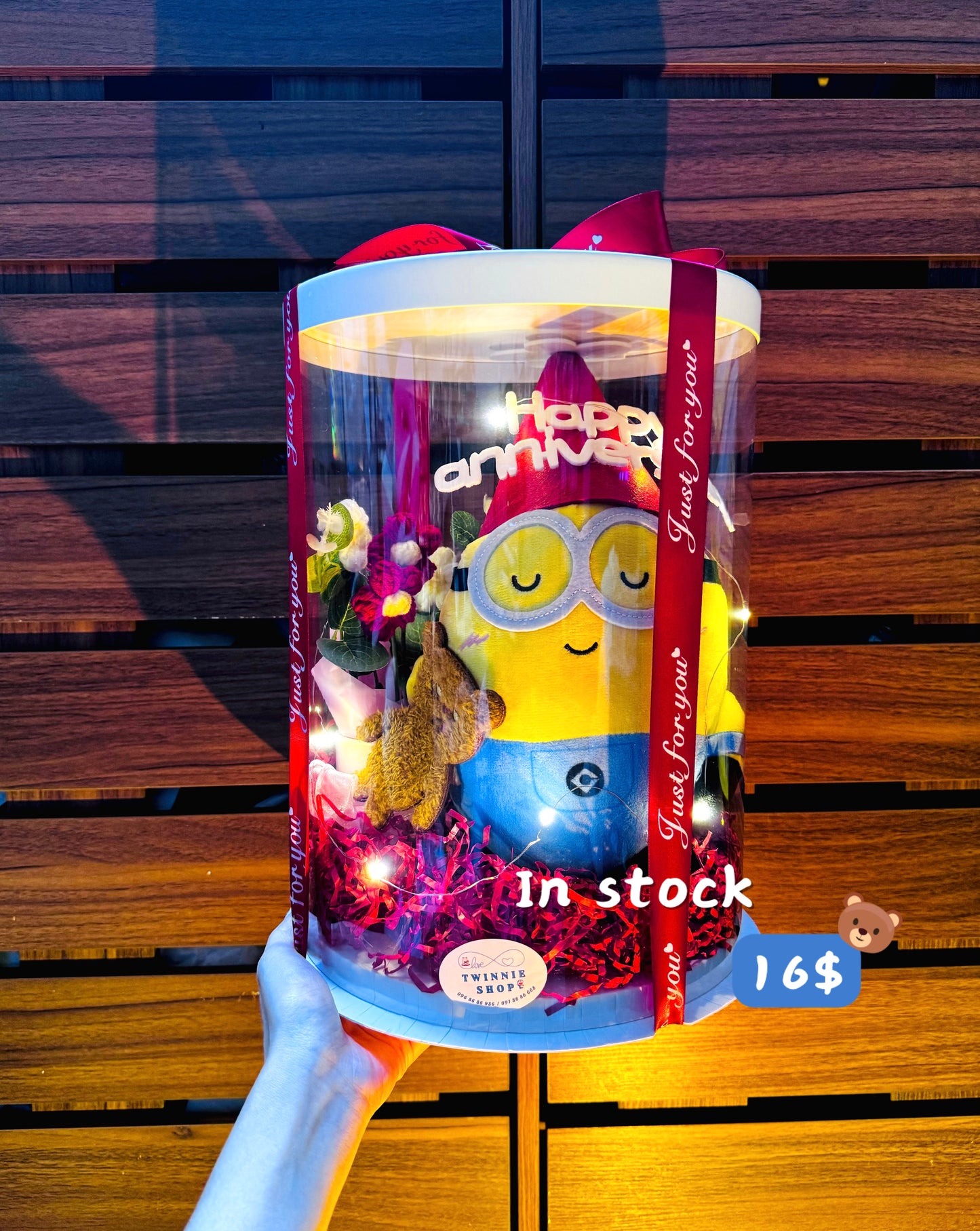 ANV | Minion anniversary set