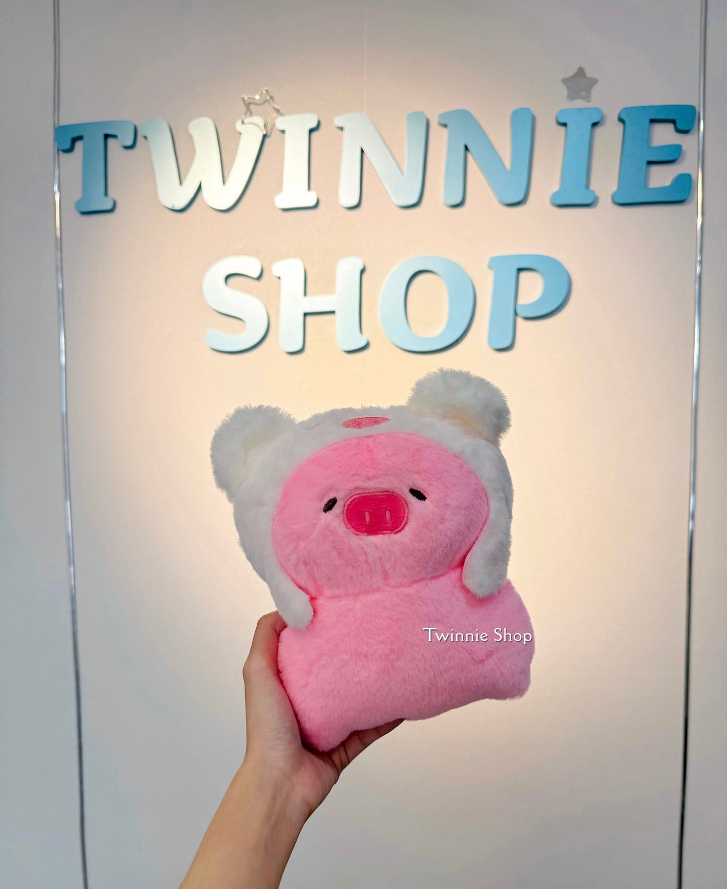 SD | Chubby pig
