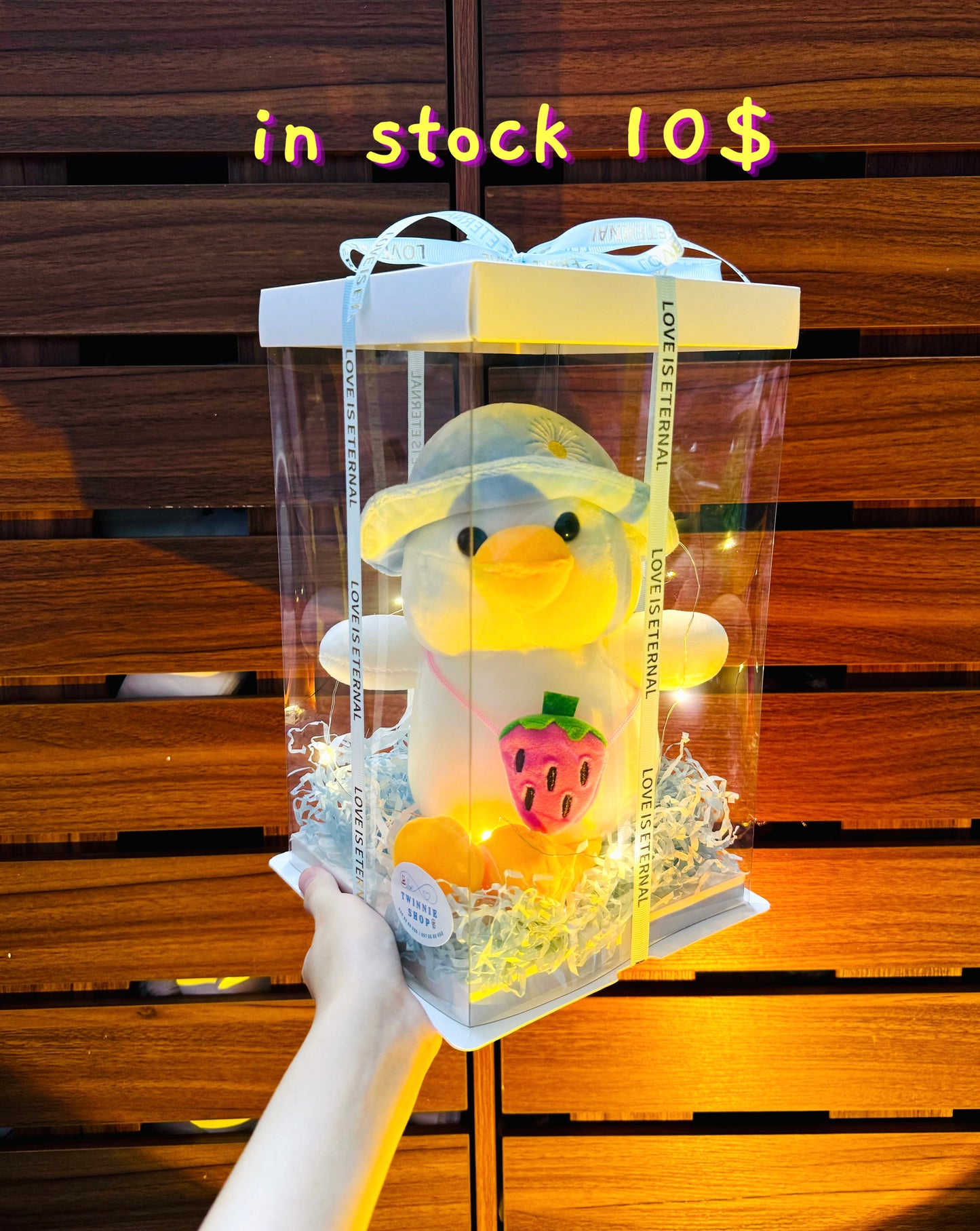 SRB10 | Ducky mini box