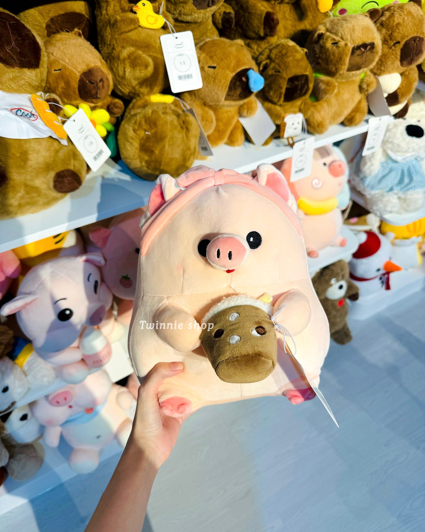 BT | Milk tea girly pig