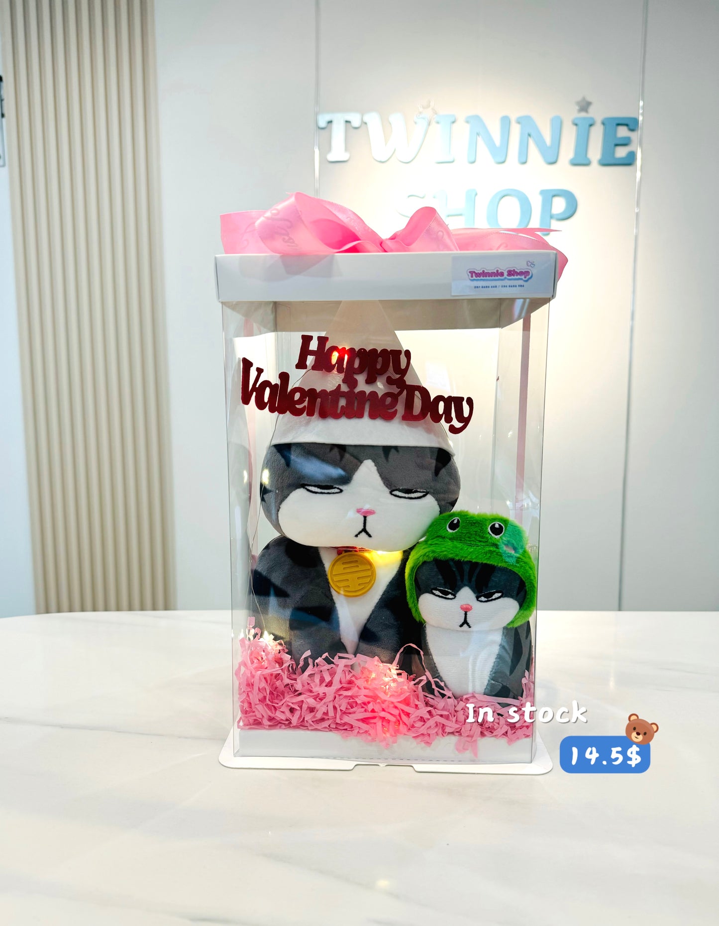 VLT | Moody cat mix valentine set