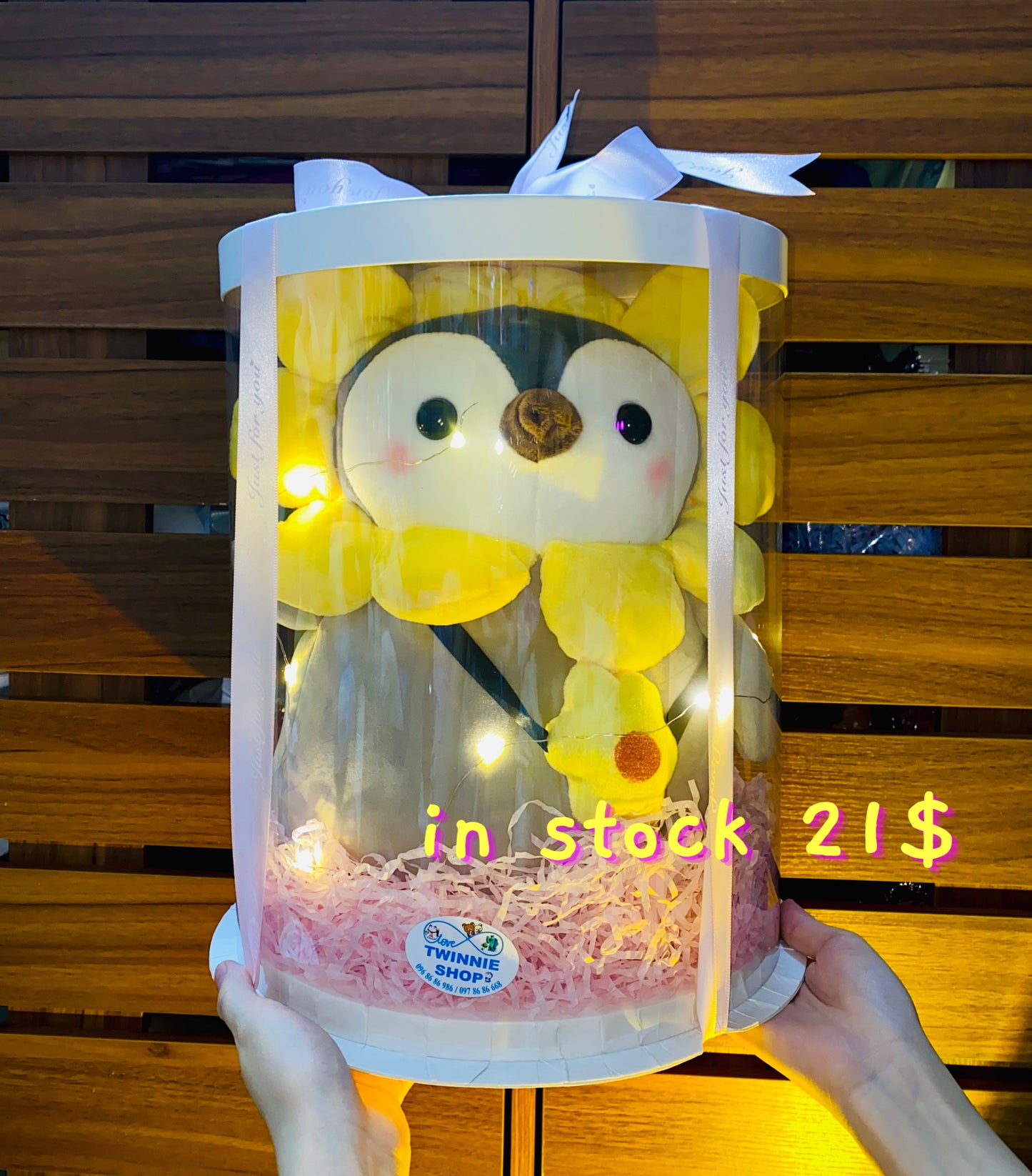 BB | Penguin big set