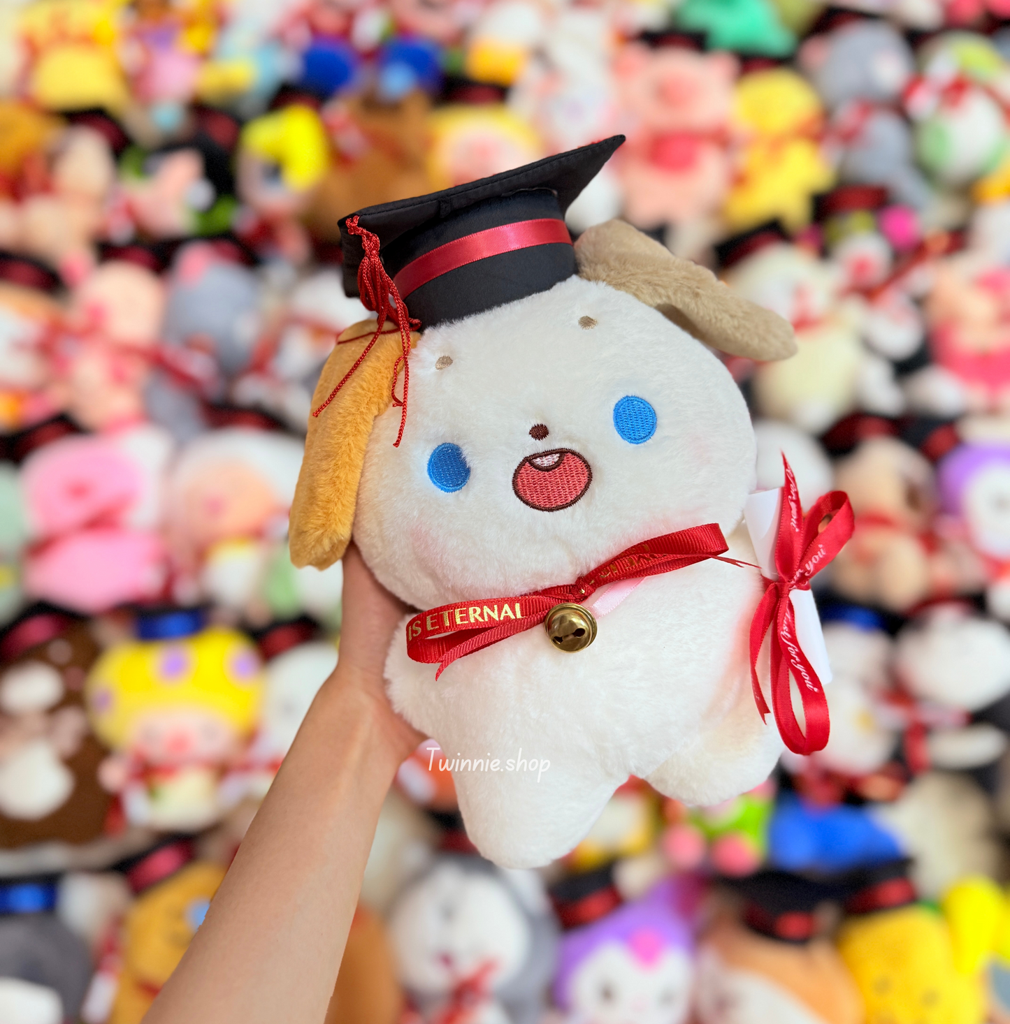 GRASD | Graduate Teddy