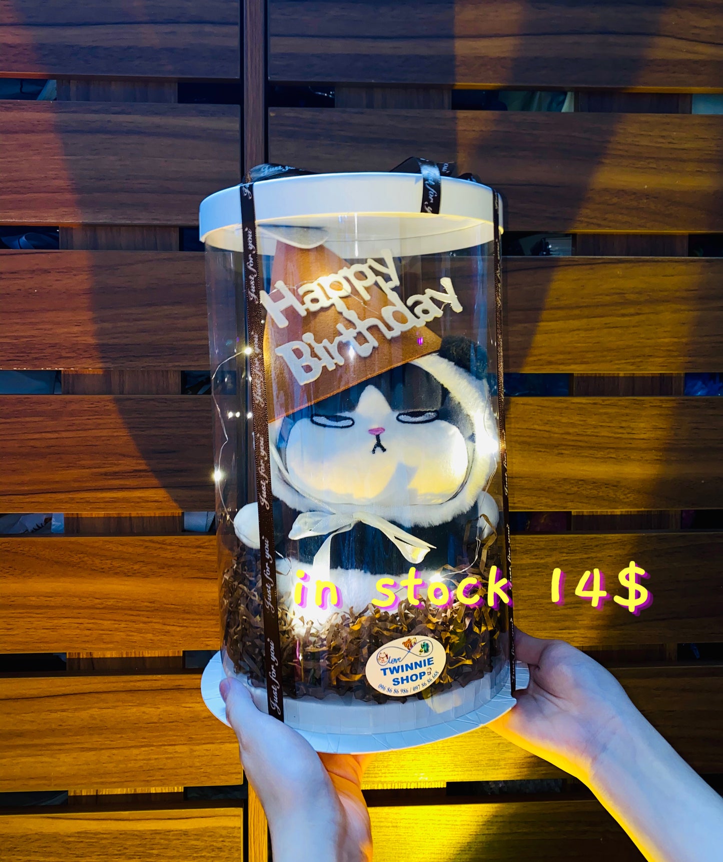 SRBBD | cat birthday box skin cat