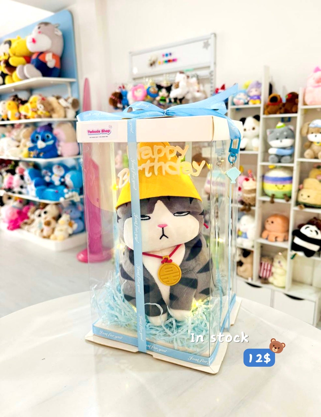 SRBBD | moody cat birthday box