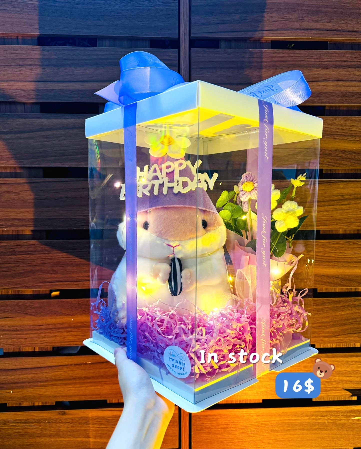BD16 | Hamster birthday full set