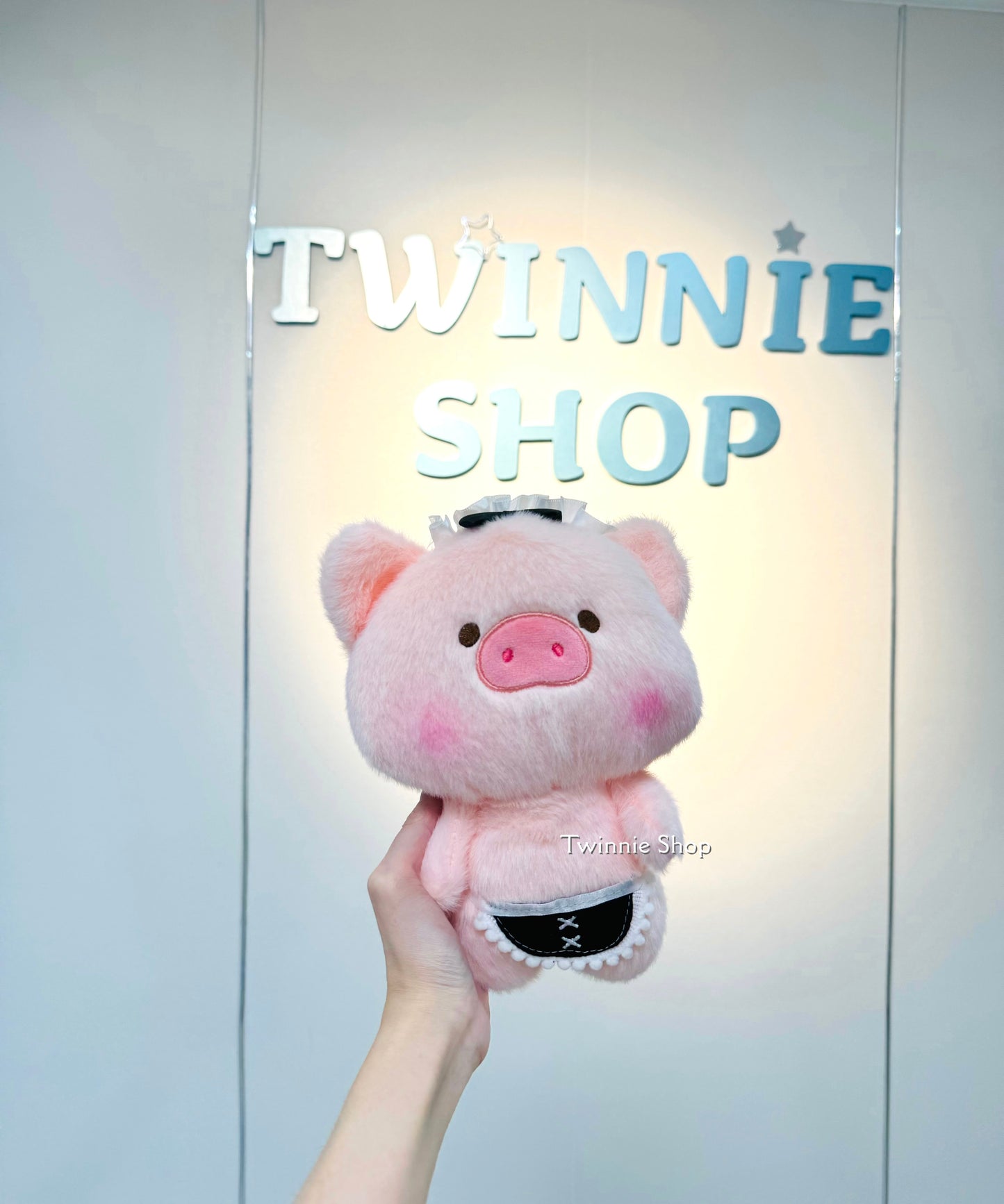 SD | Black ribbon pig
