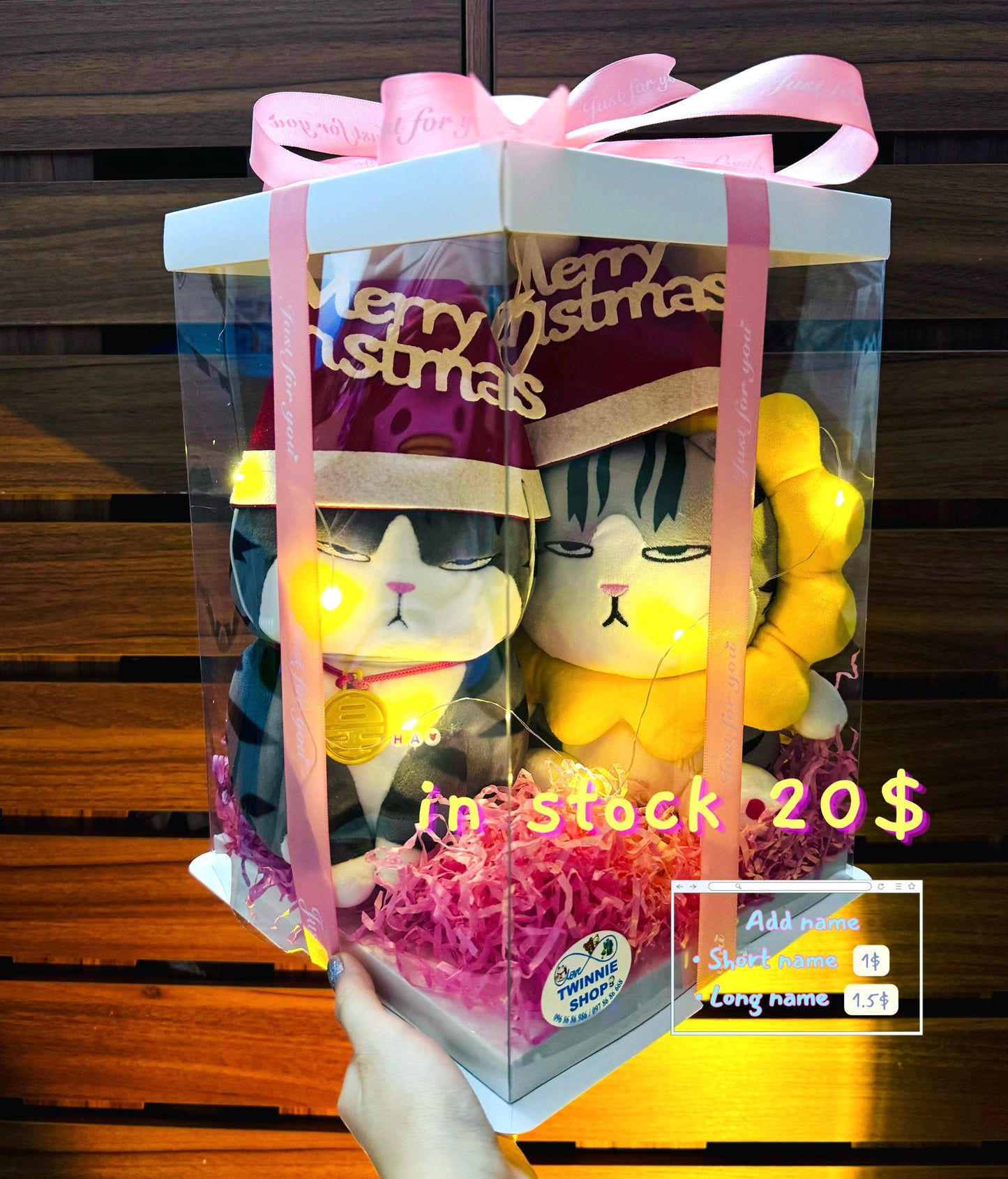 Xmas | couple cat box