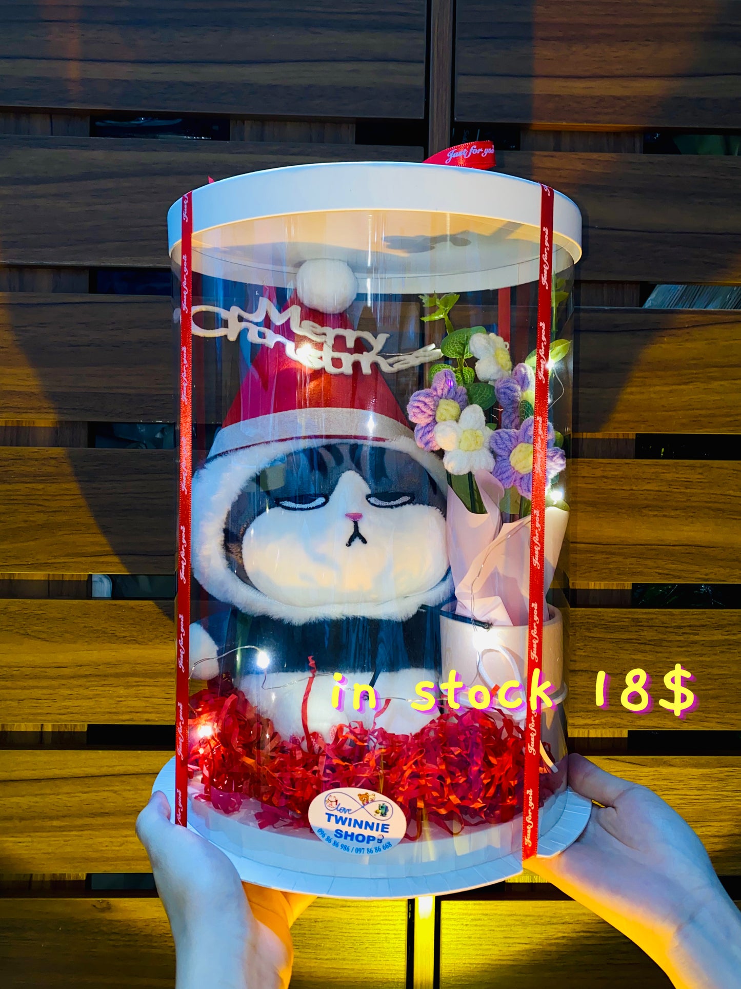 Xmas | Colorful cat gift box