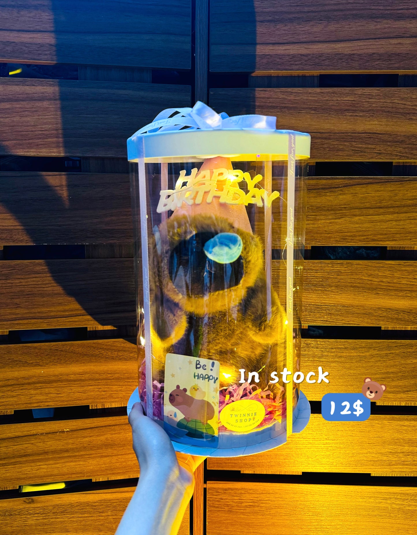 SRBBD | Capybara birthday set