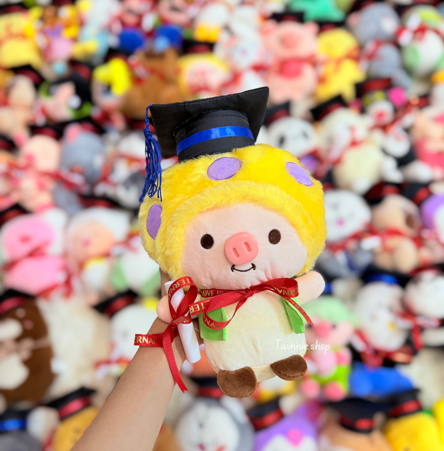 GRASD | Graduate Teddy