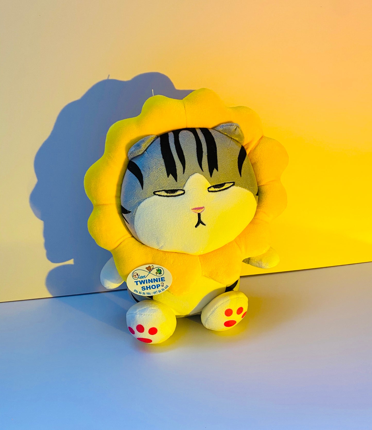 SD | Moody cat