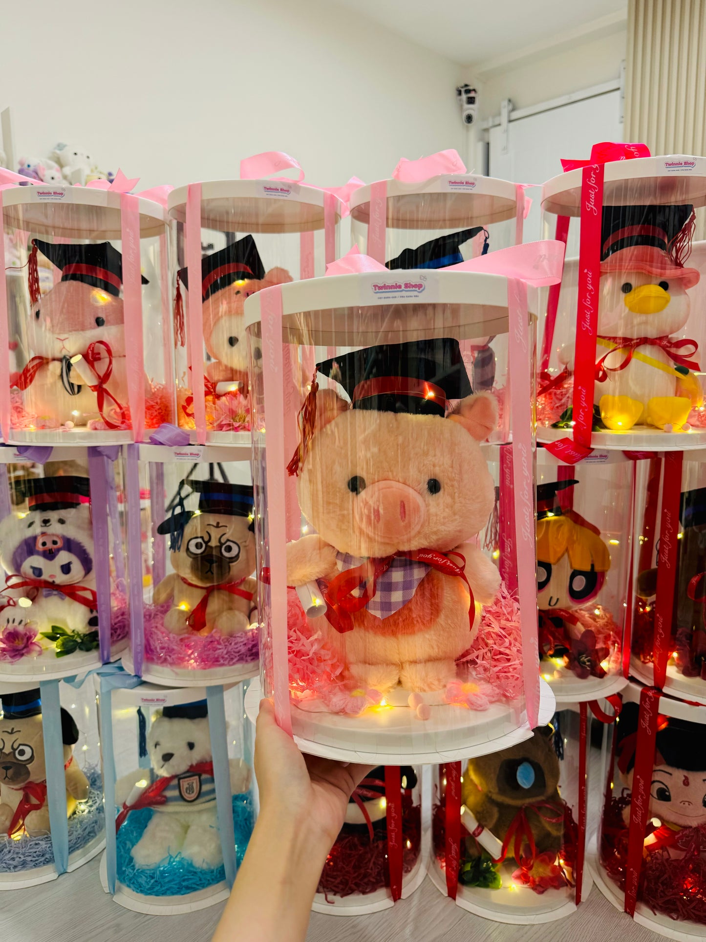 GRA | Piggy graduate set