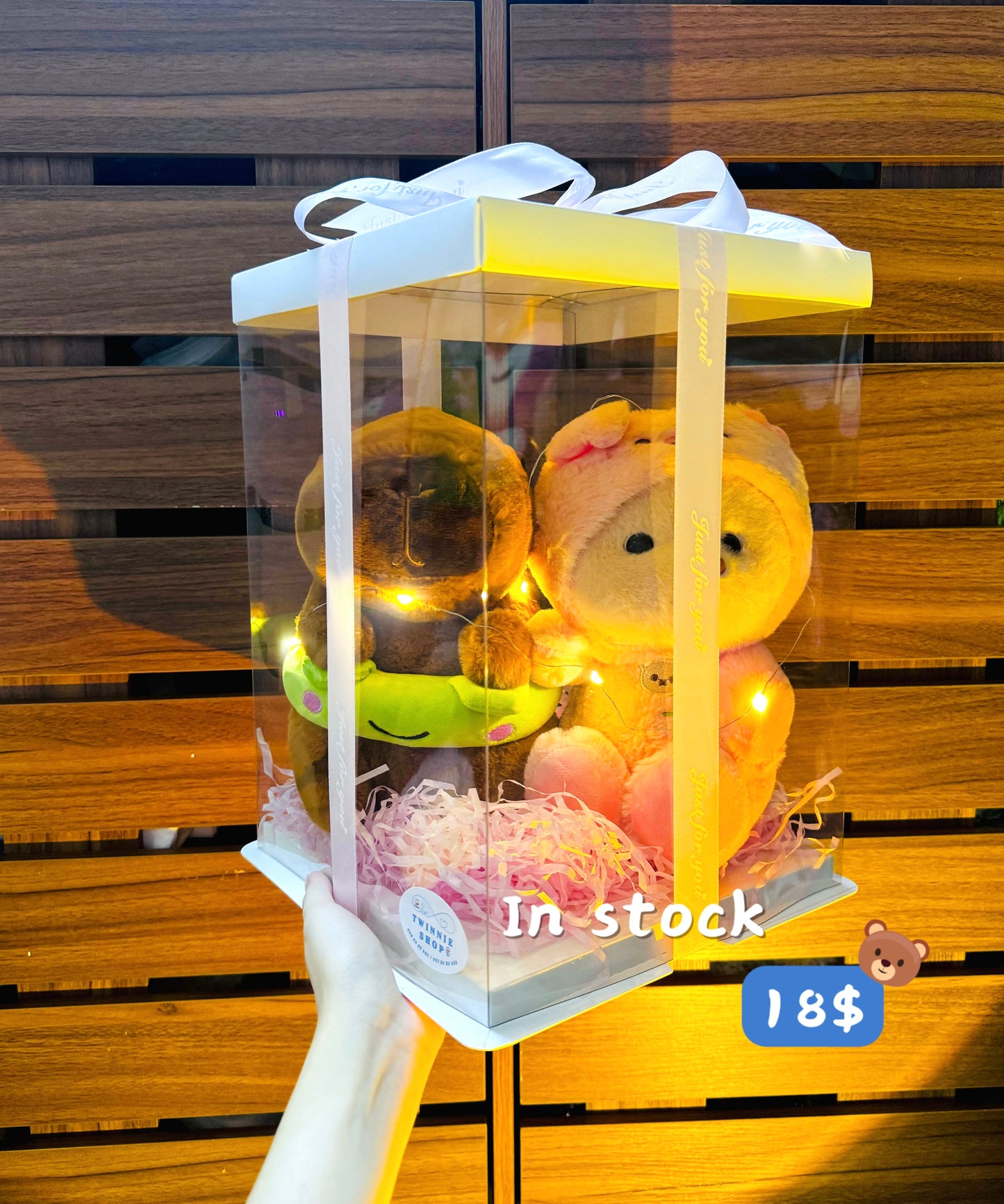 CPB | Capybara couple set