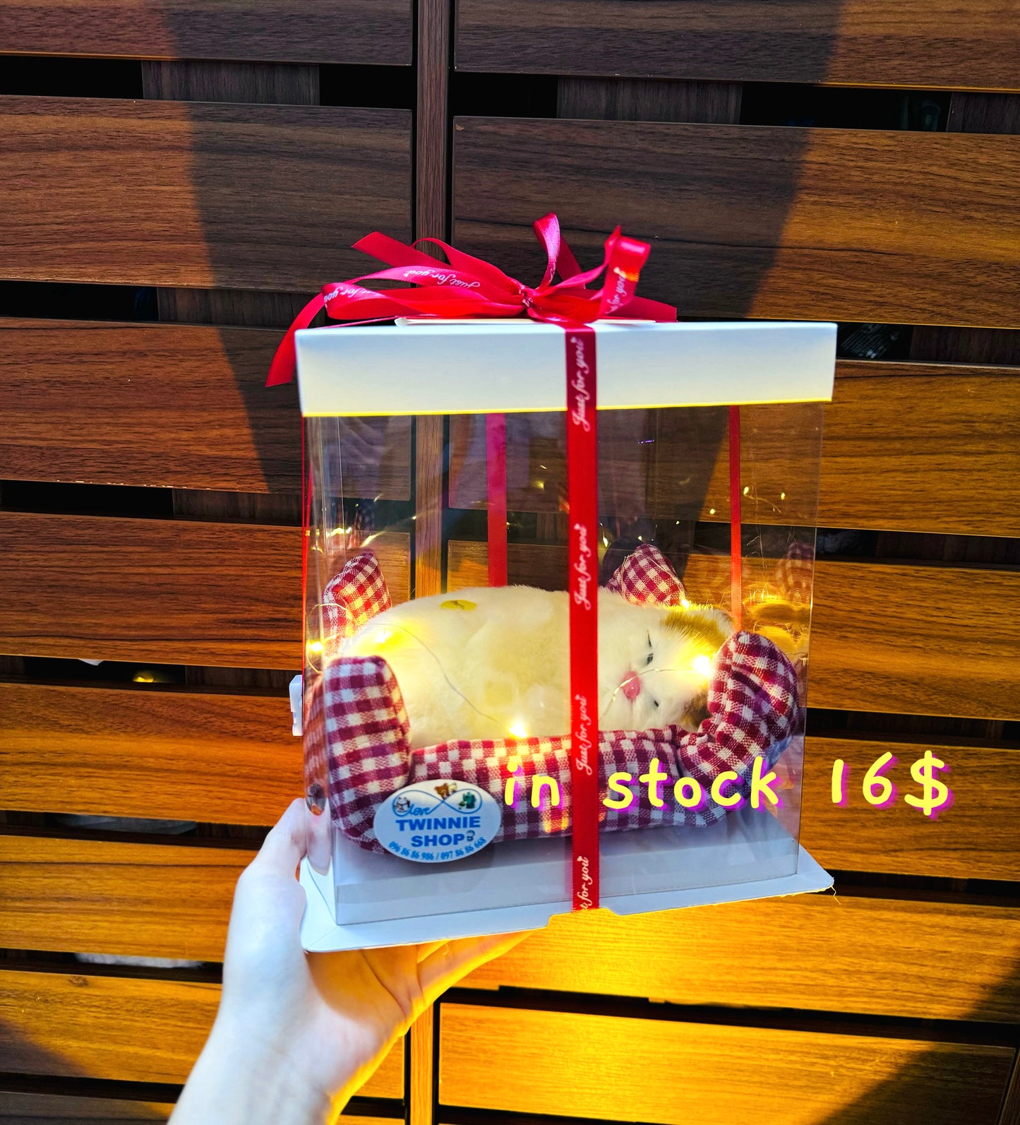 SRB | Sleeping cat gift box
